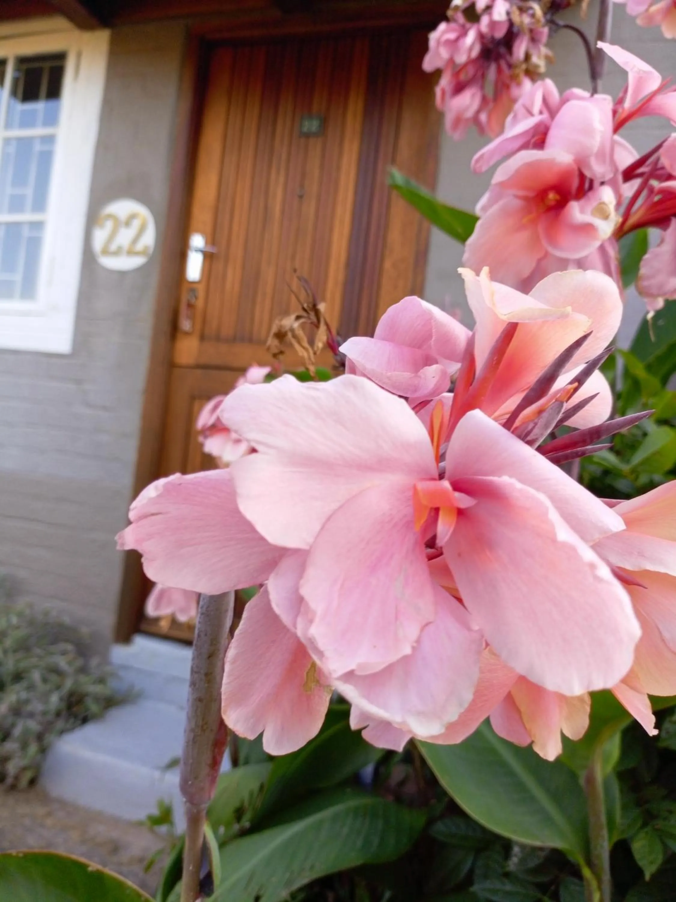 The Nest Drakensberg Mountain Resort Hotel