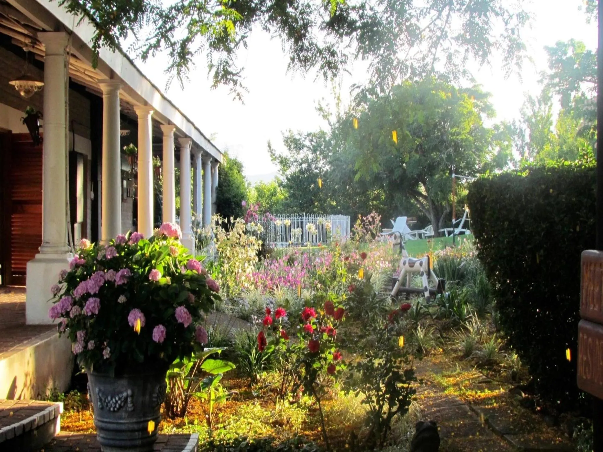 Garden in The Nest Drakensberg Mountain Resort Hotel