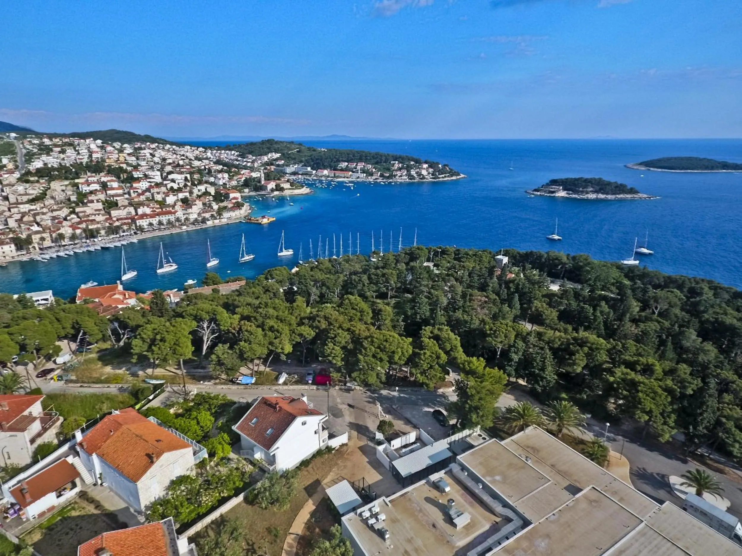 Violeta Hvar