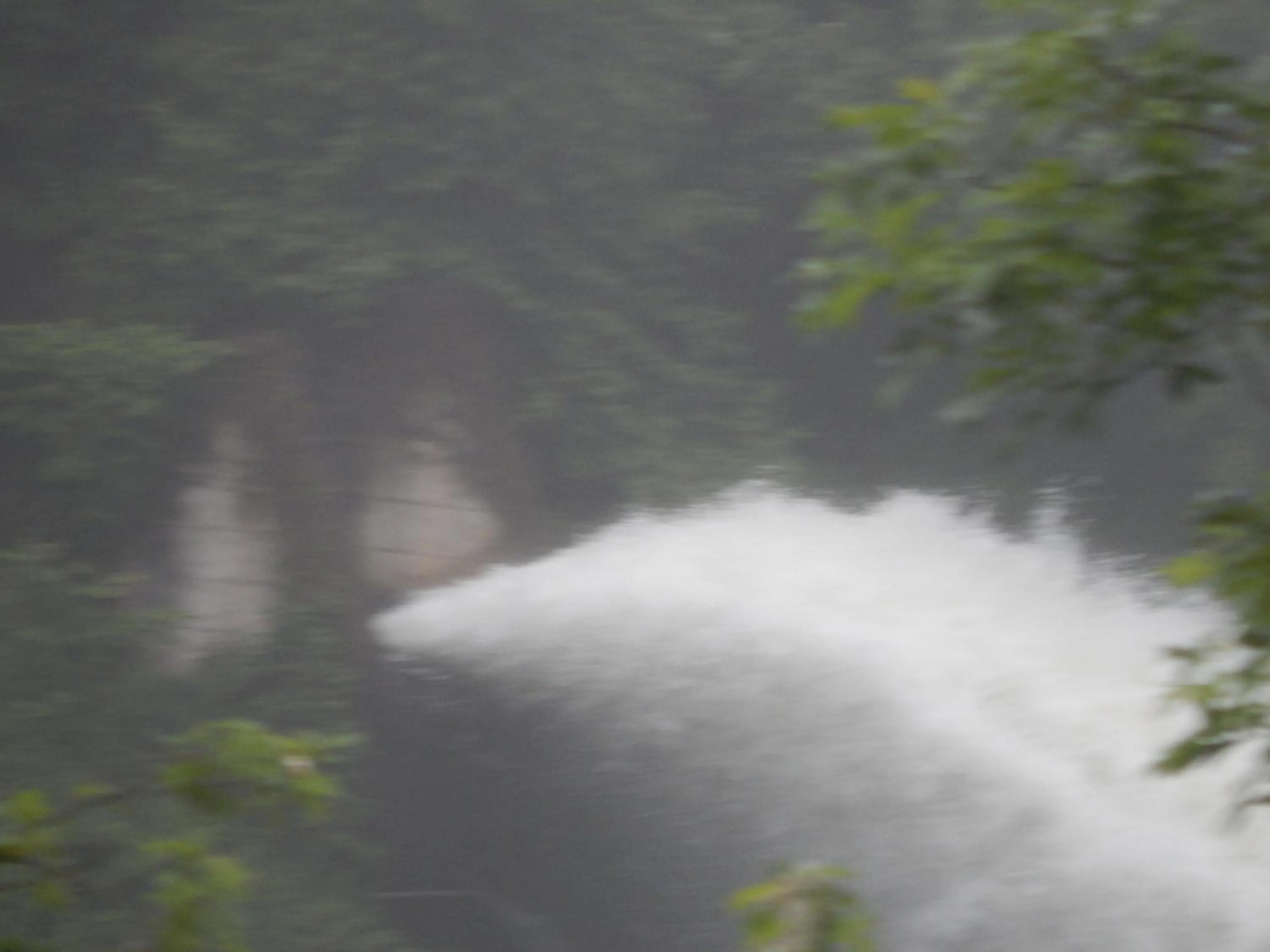 Natural landscape in Le Lion D'or