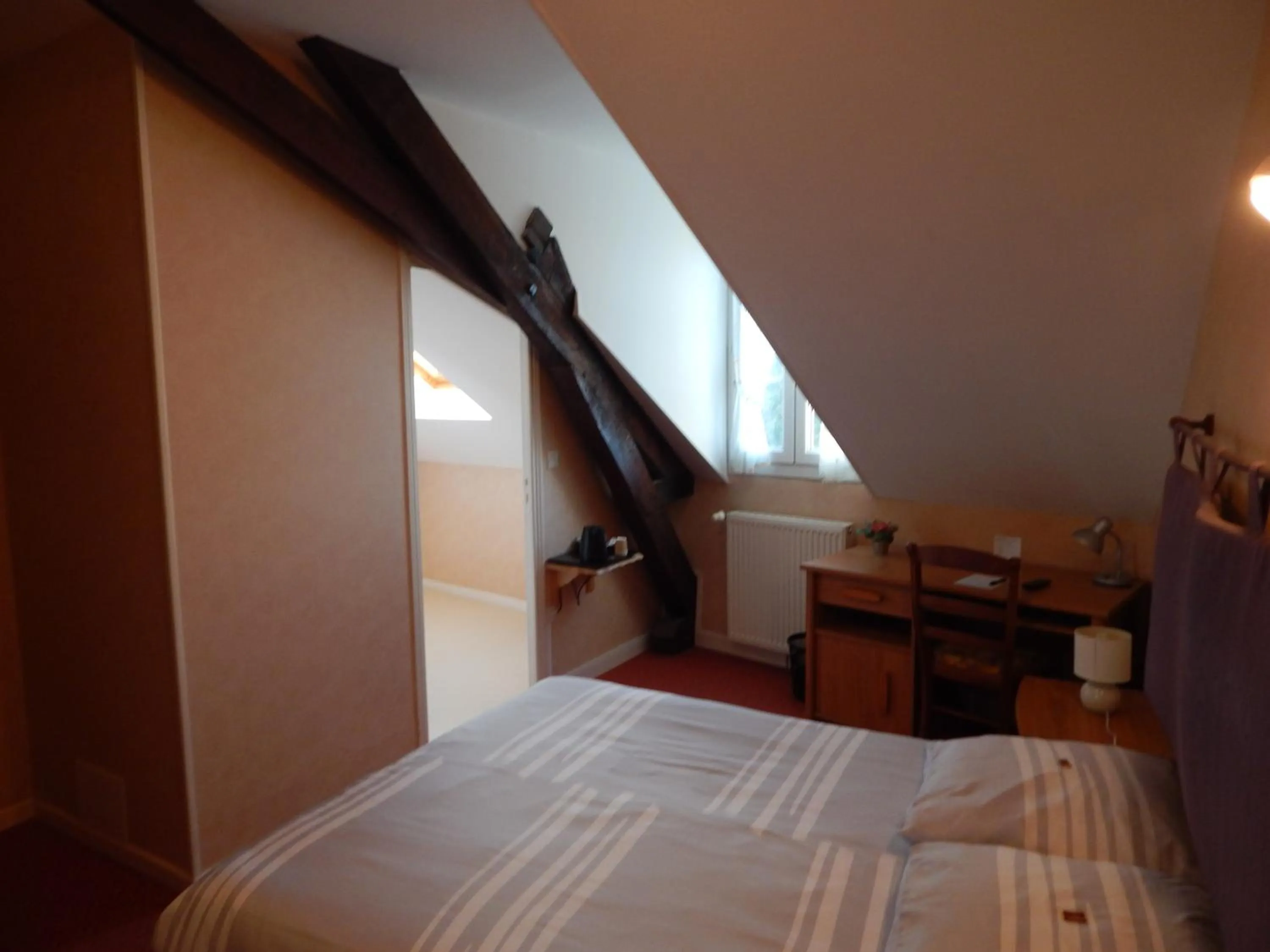 Photo of the whole room in Le Lion D'or