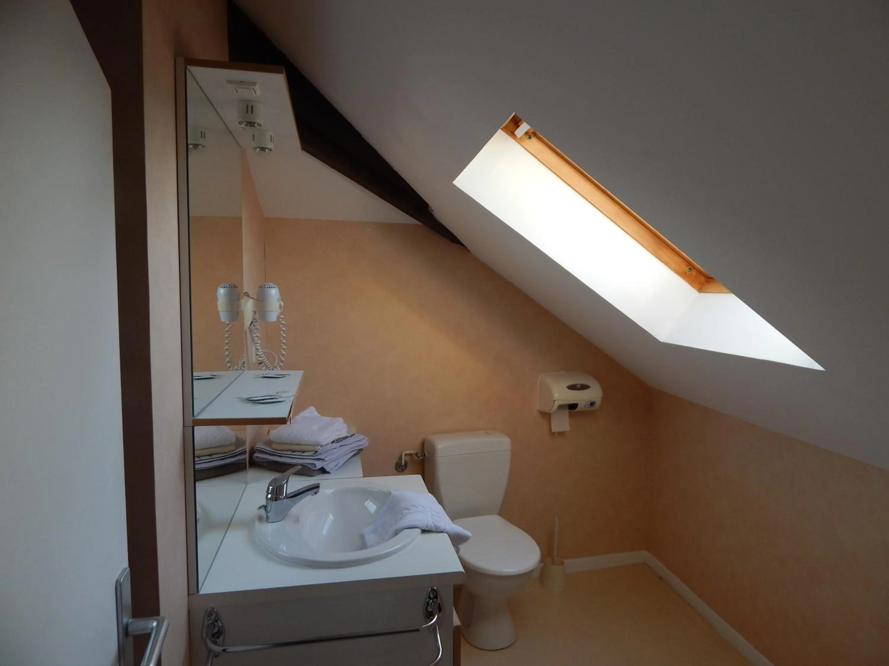 Shower in Le Lion D'or