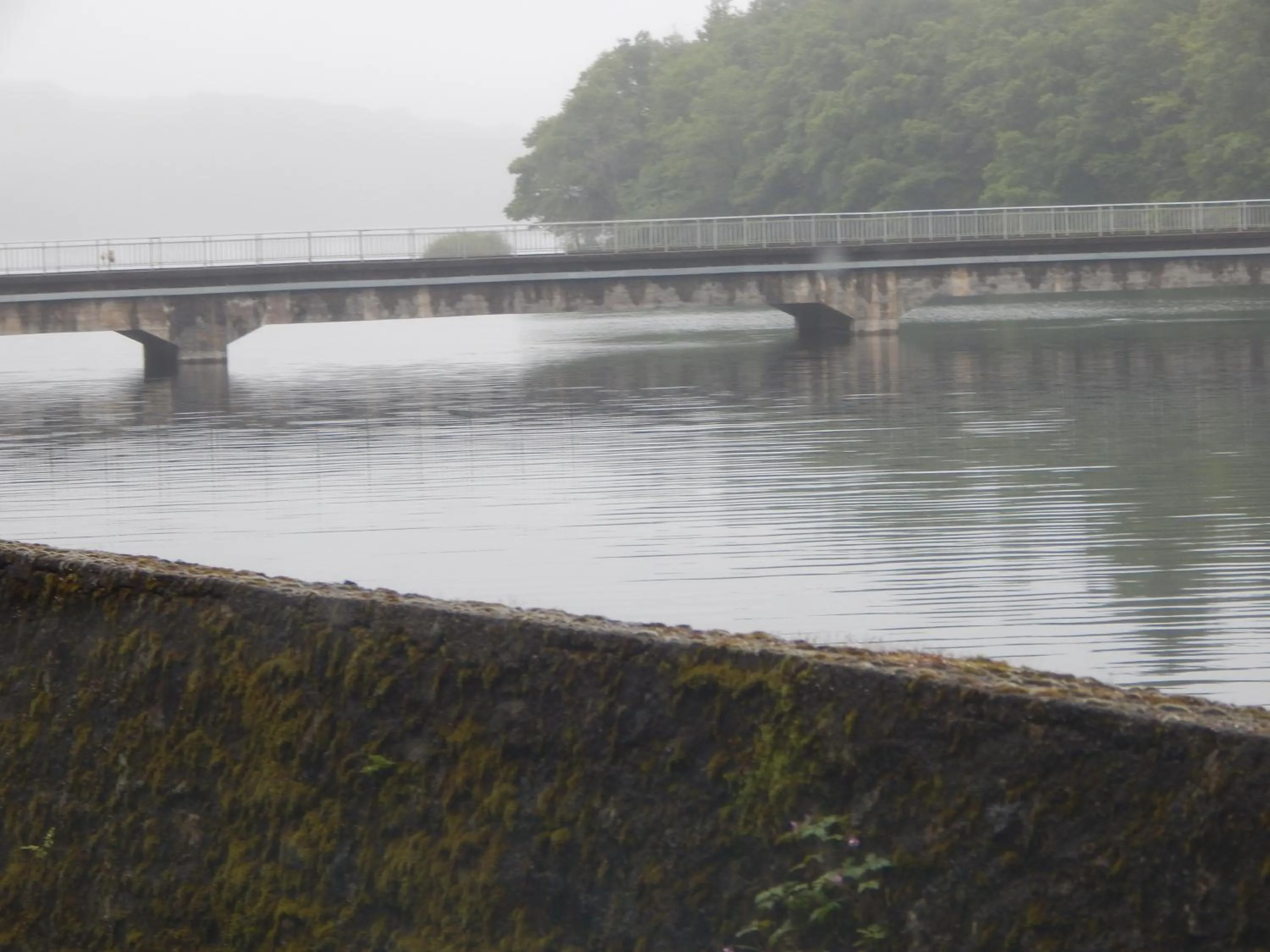 Nearby landmark in Le Lion D'or