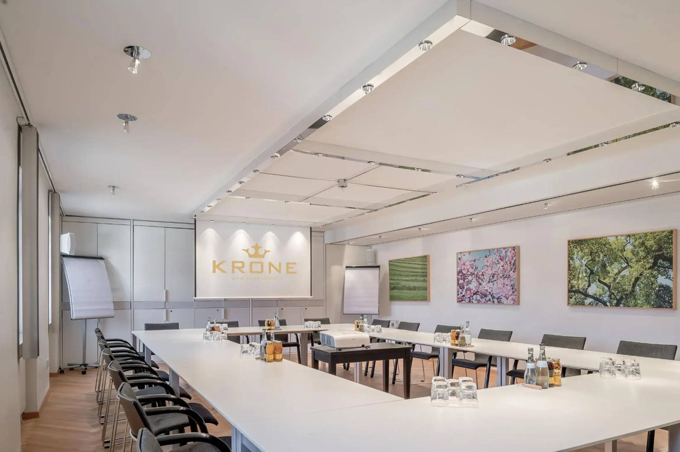 Meeting/conference room in Alpenhotel Krone