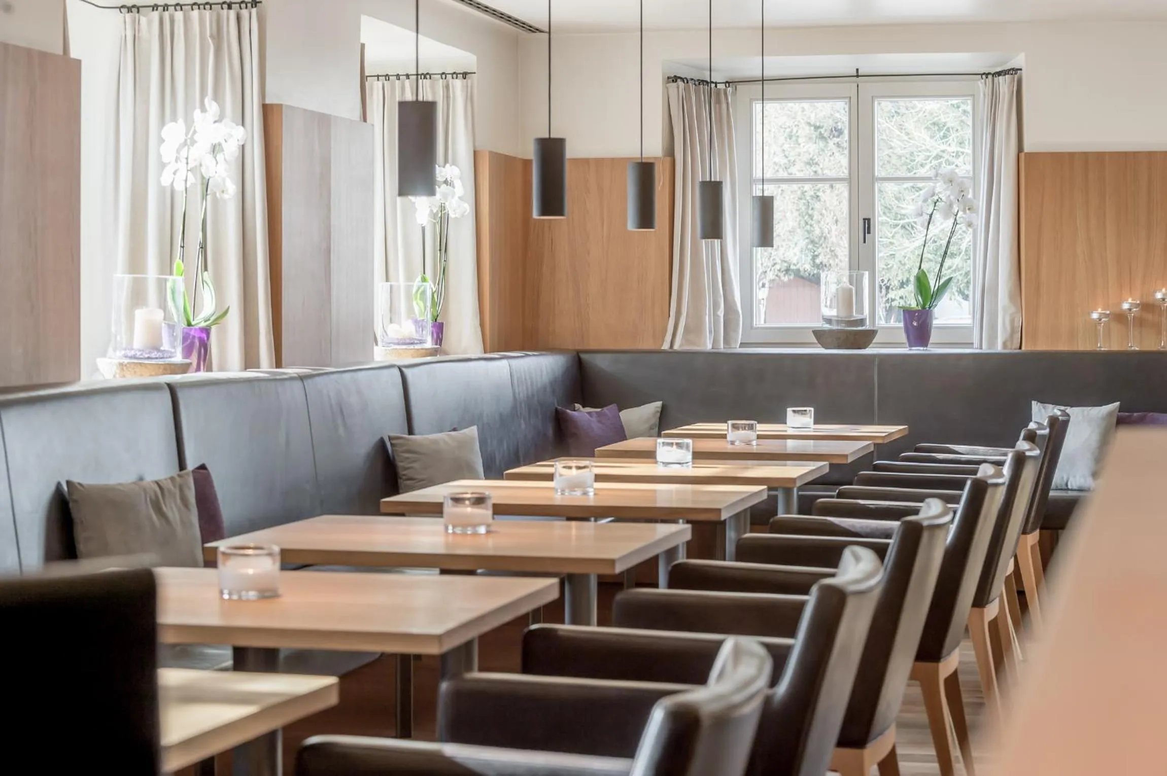 Lounge or bar in Alpenhotel Krone