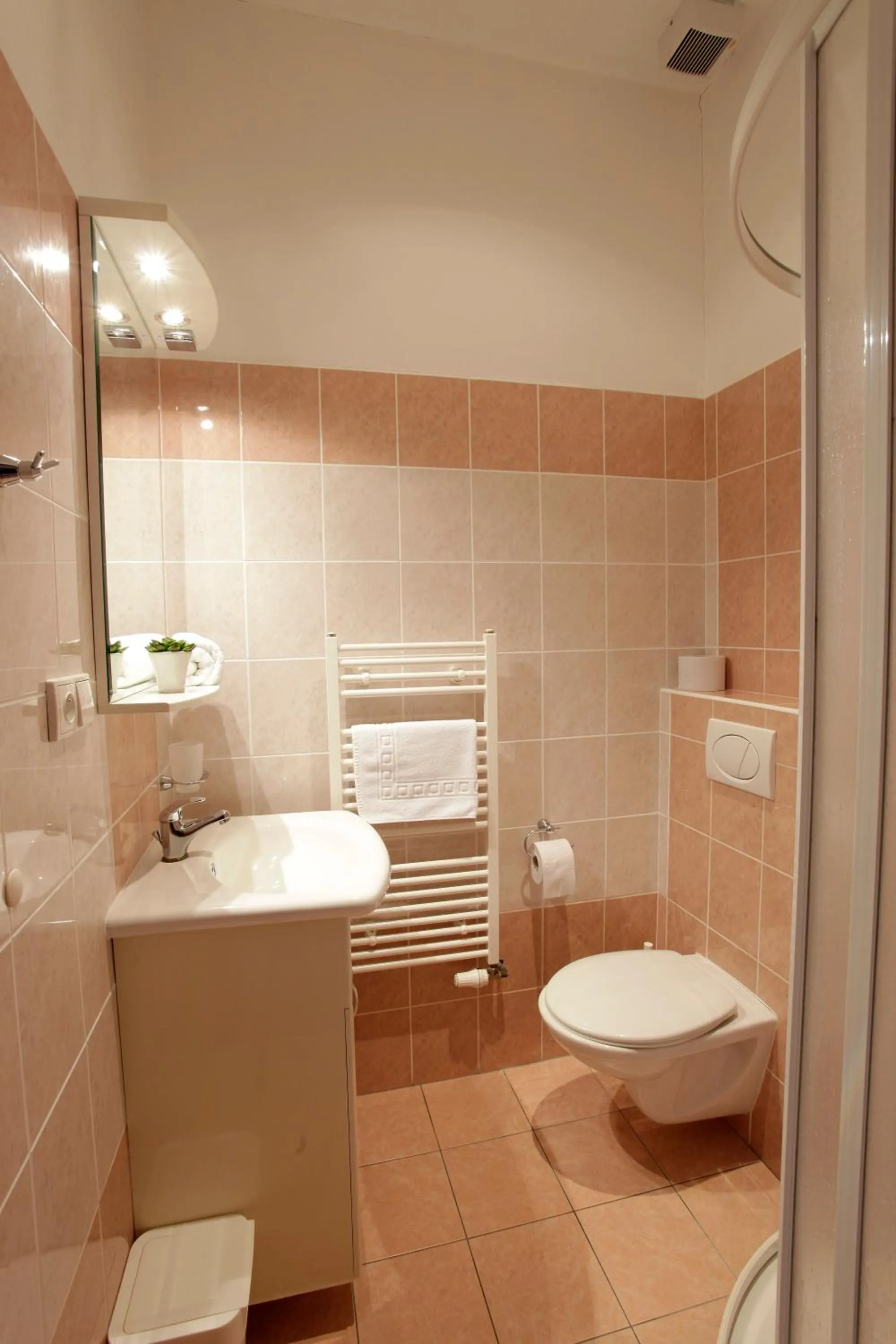 Bathroom in Hotel Karel IV.