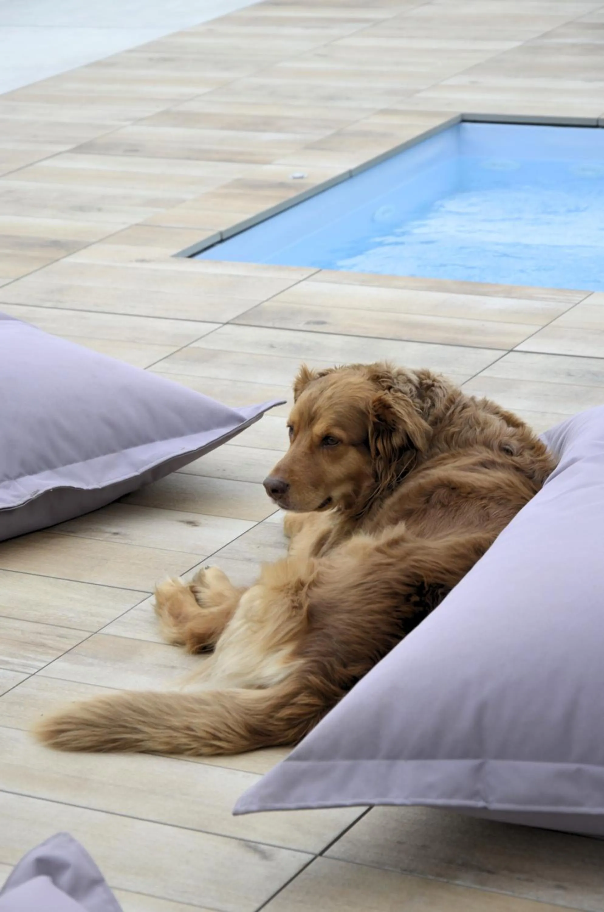 Swimming pool in Hotel Karel IV.