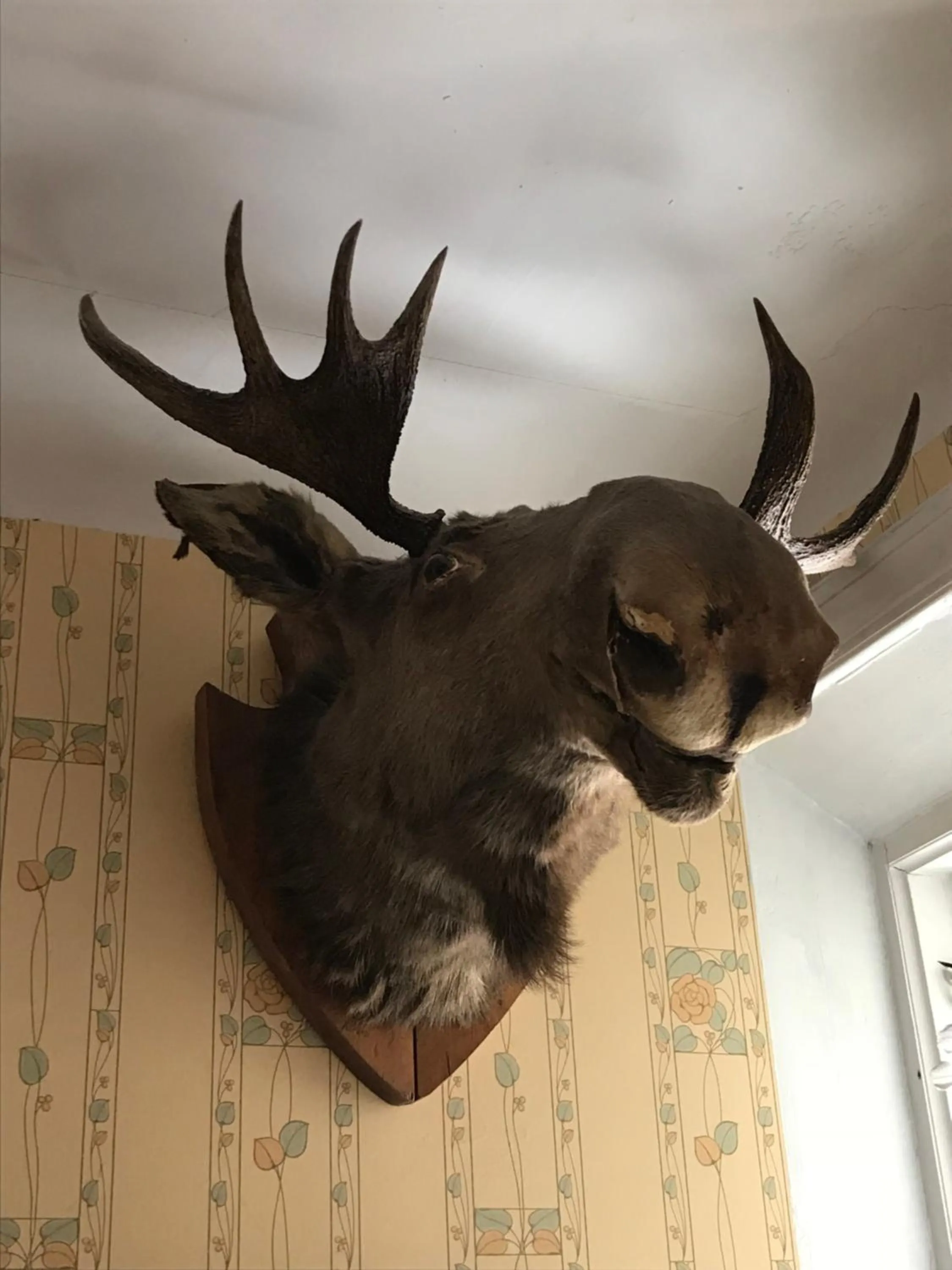 Decorative detail in Berg Säteri