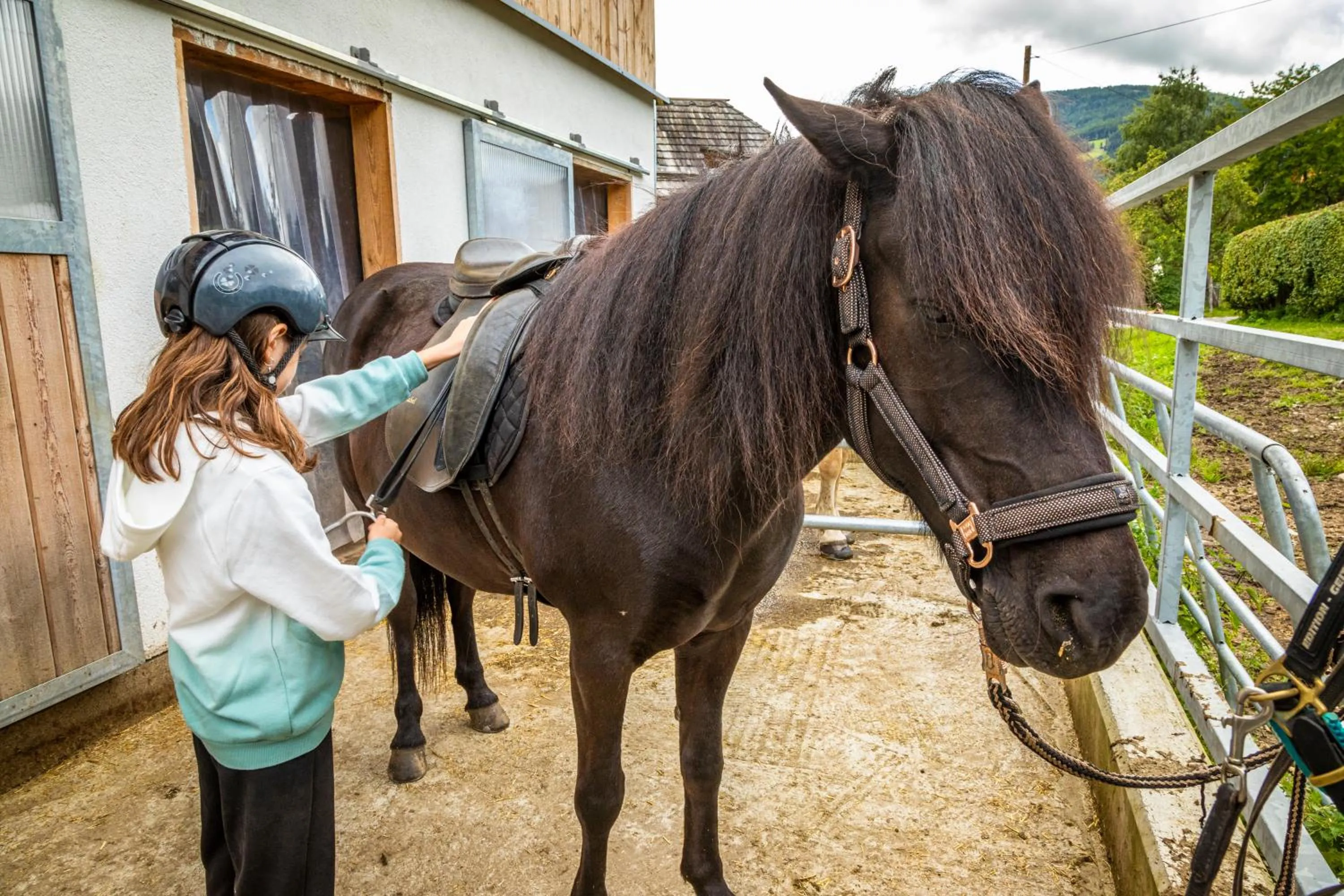Horse-riding in Biobauernhof Tonimörtl