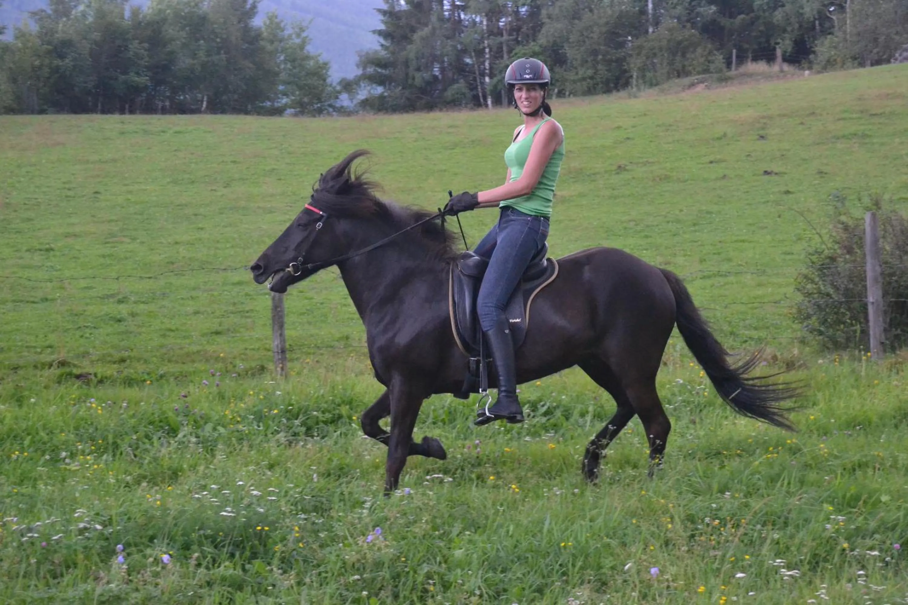 Horse-riding in Biobauernhof Tonimörtl
