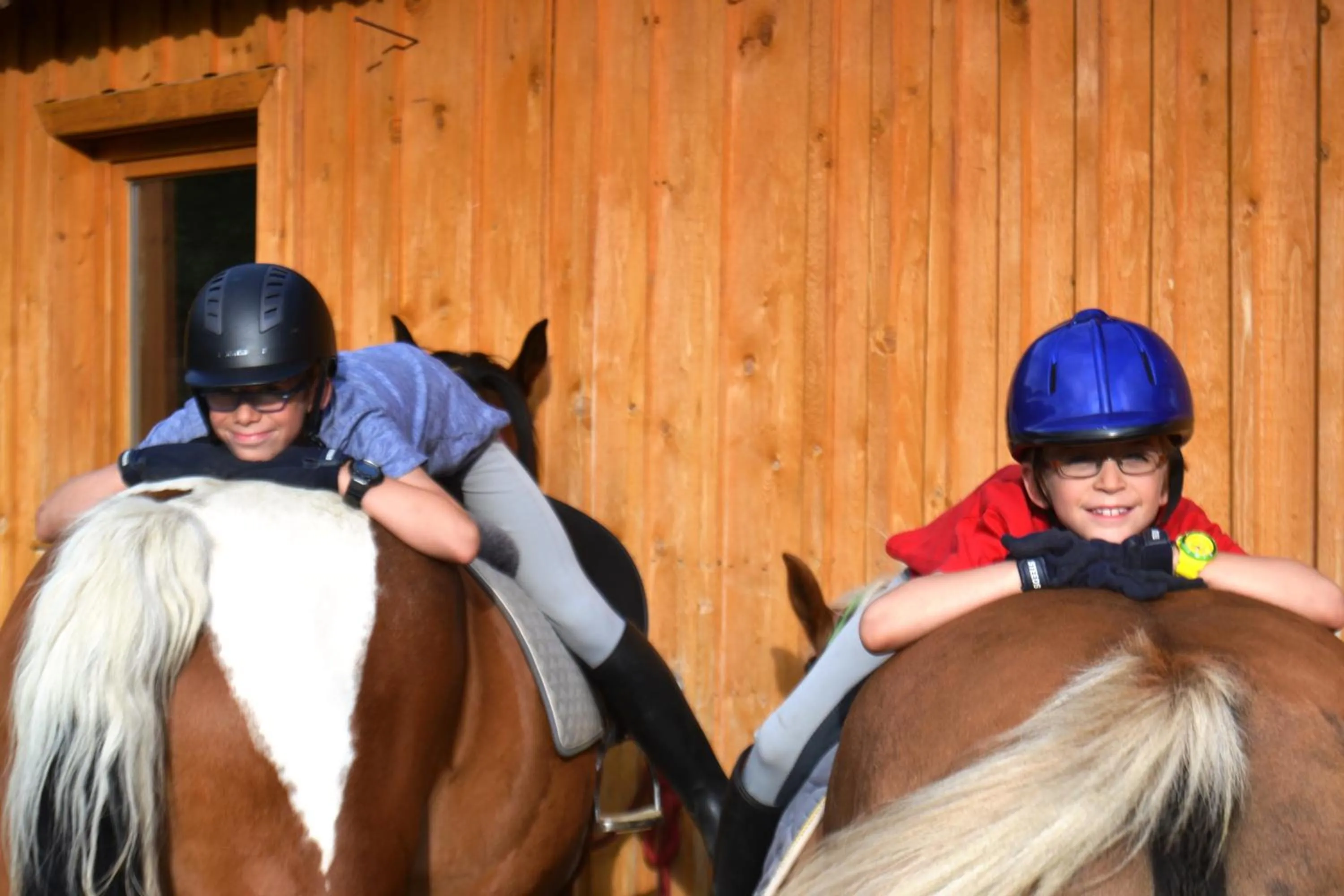 Horse-riding in Biobauernhof Tonimörtl