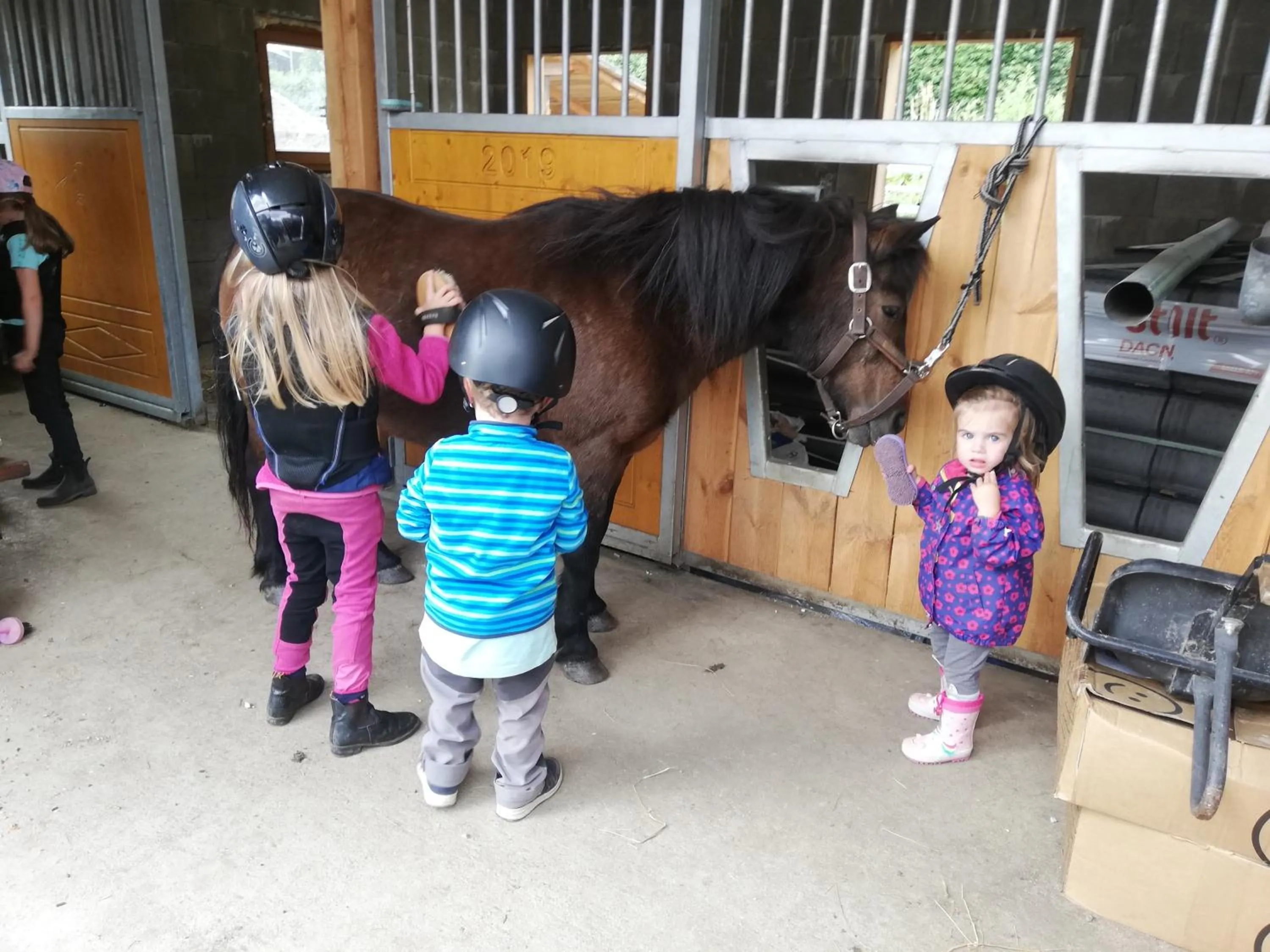 Horse-riding in Biobauernhof Tonimörtl