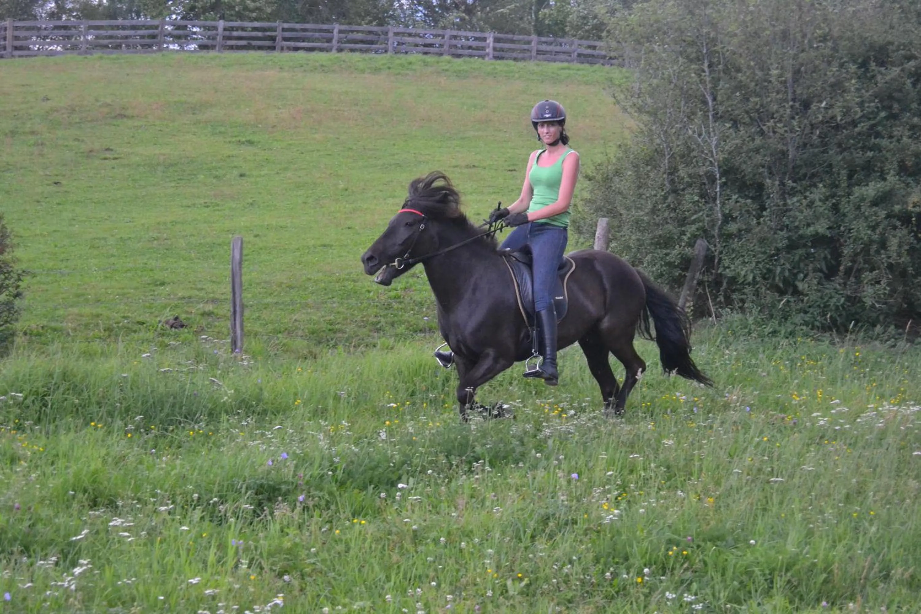 Horse-riding in Biobauernhof Tonimörtl