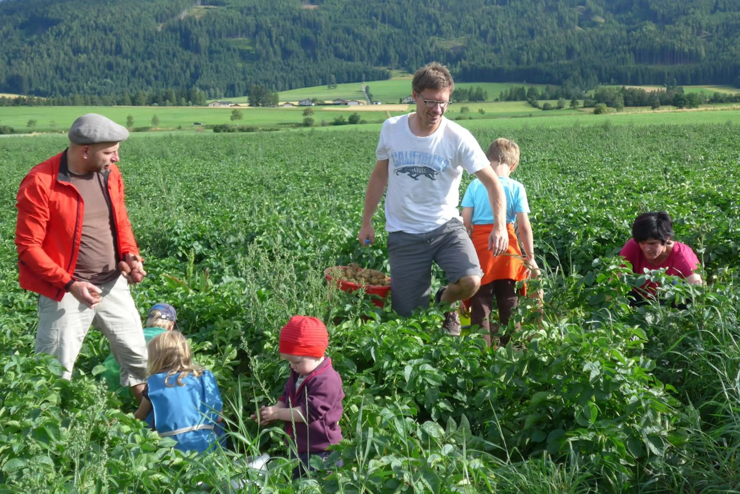 Summer in Biobauernhof Tonimörtl