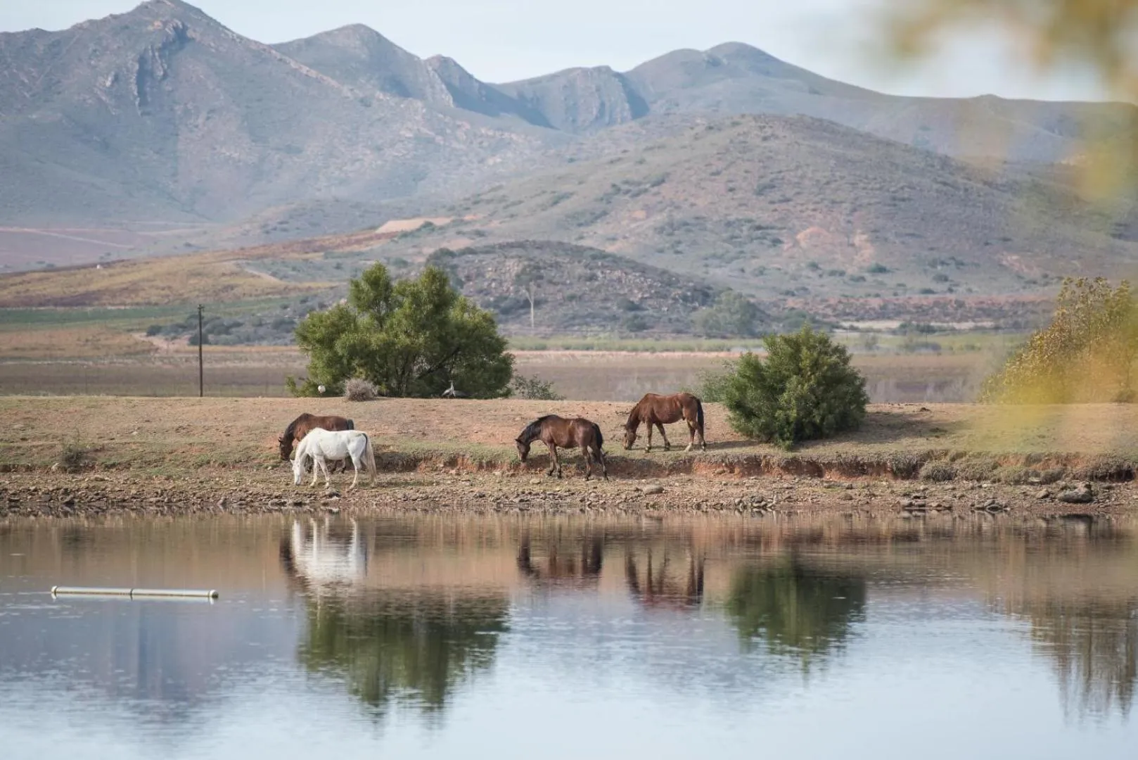 Natural landscape in Excelsior Manor Guesthouse