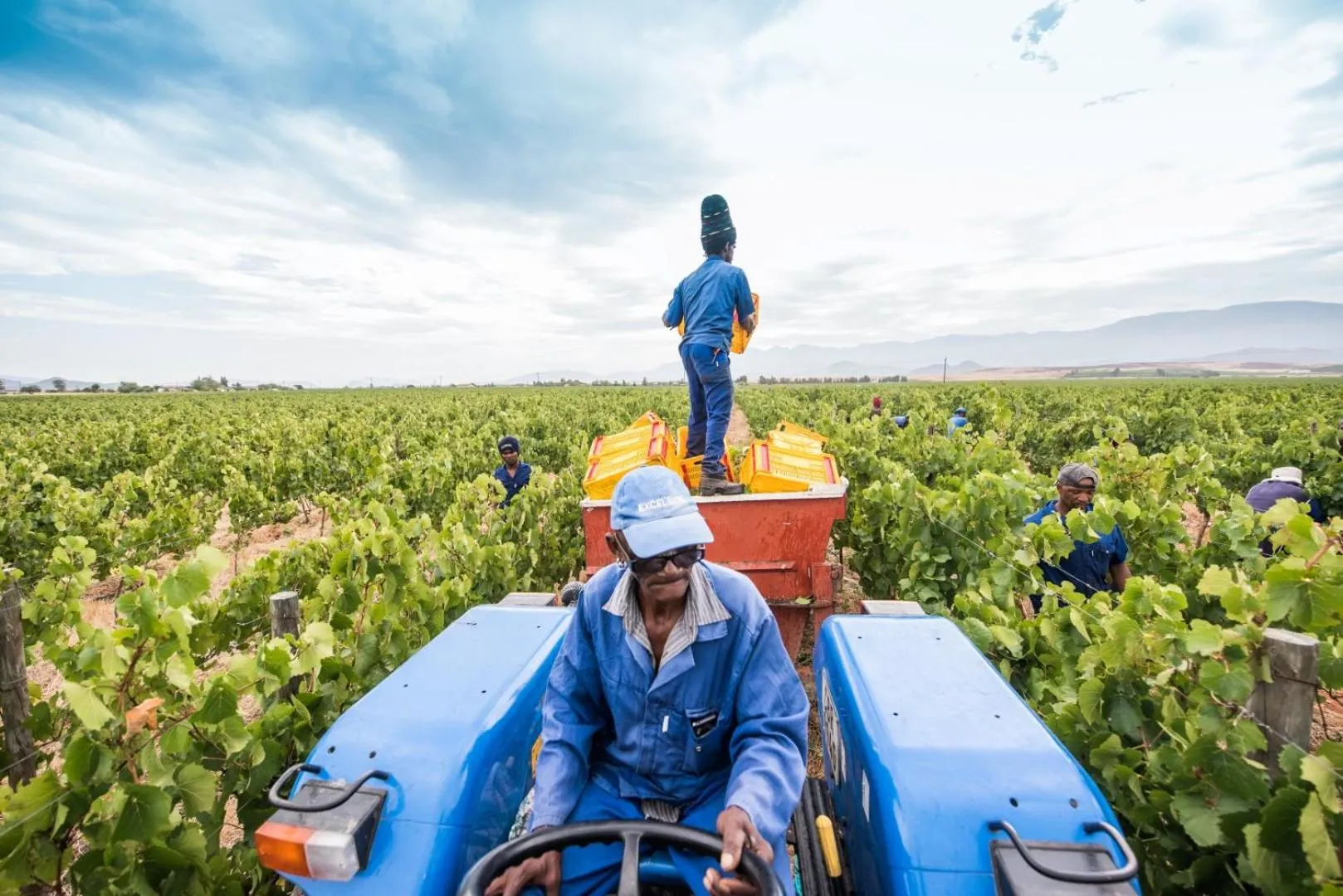 Staff in Excelsior Manor Guesthouse