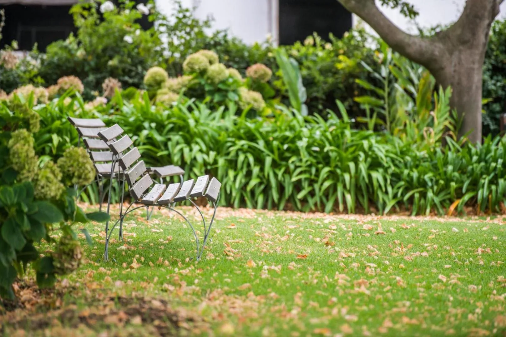 Garden in Excelsior Manor Guesthouse