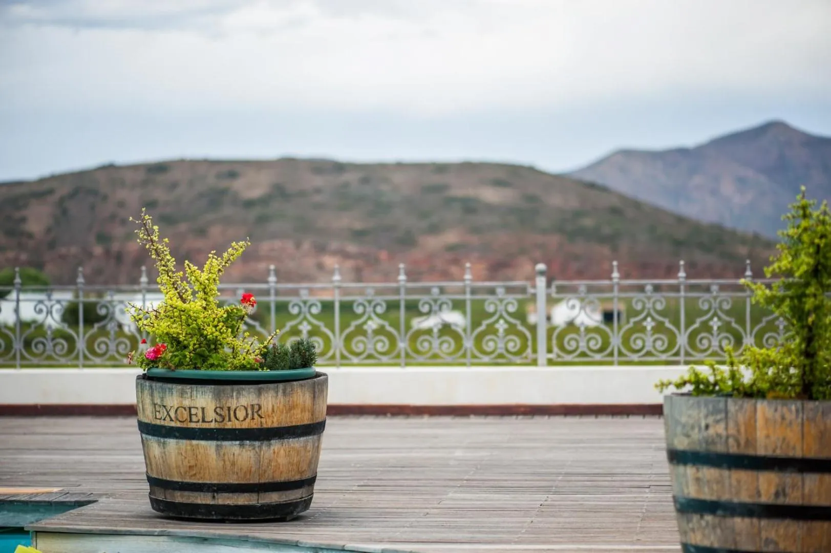 Garden in Excelsior Manor Guesthouse