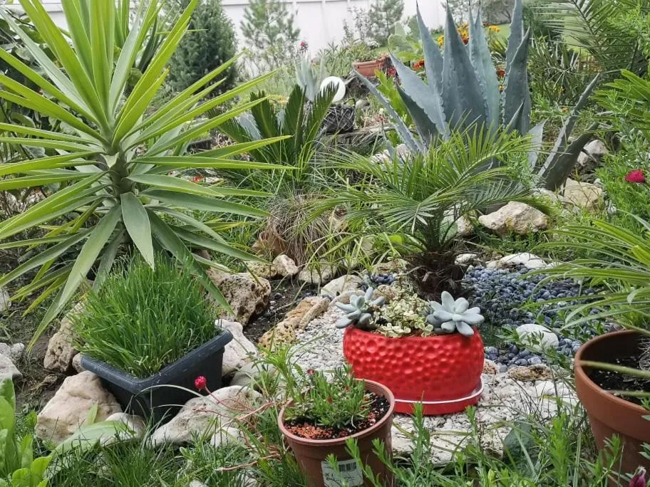 Dream Resort (Adults only 14+)