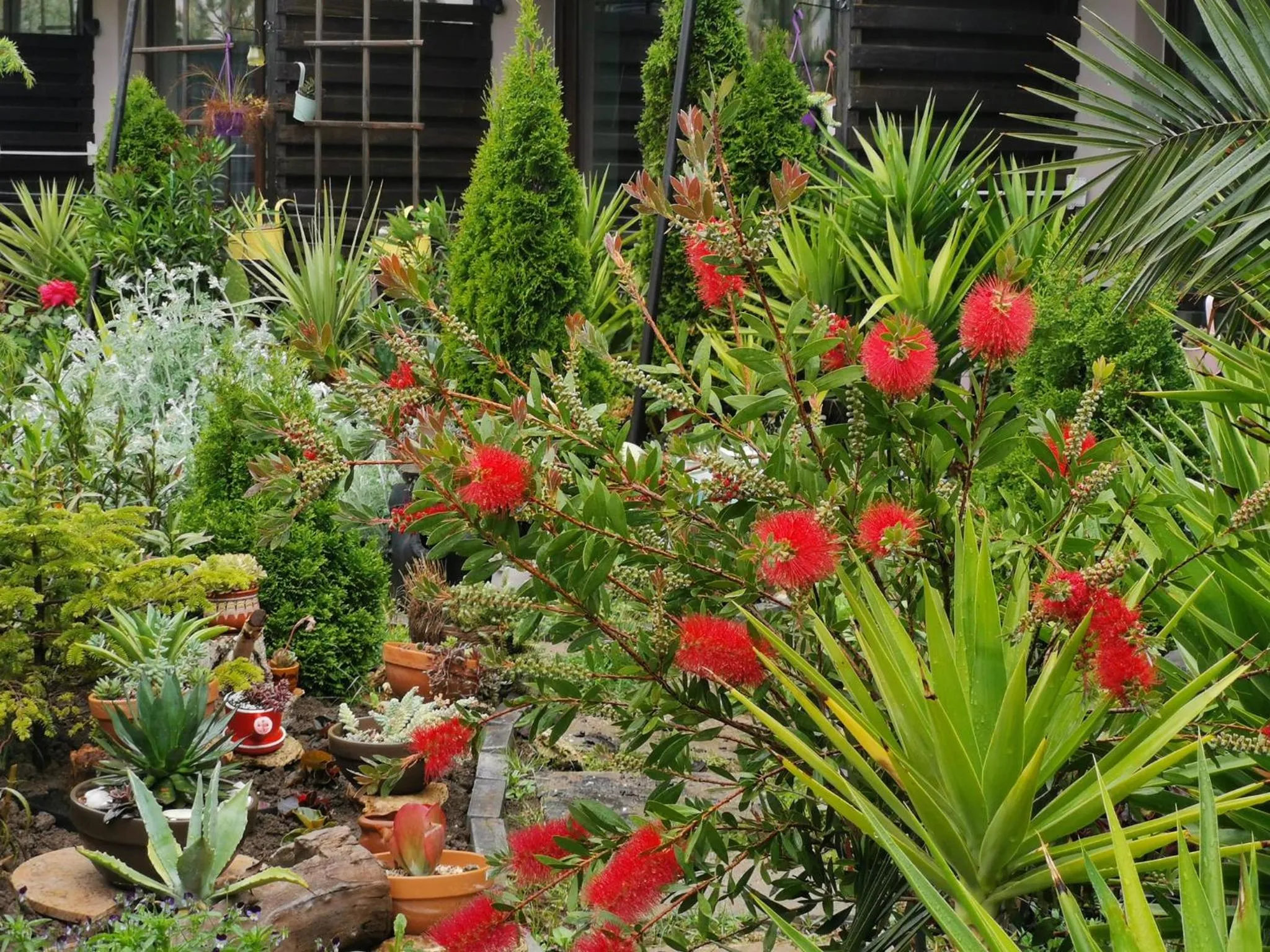 Dream Resort (Adults only 14+)