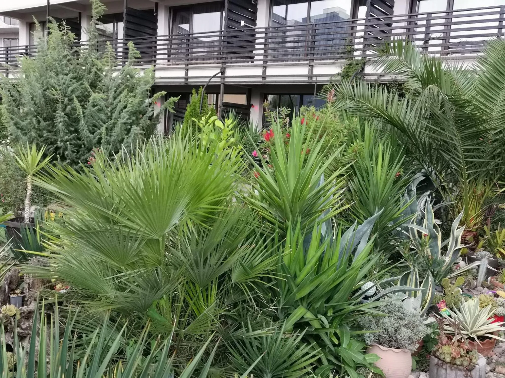 Dream Resort (Adults only 14+)