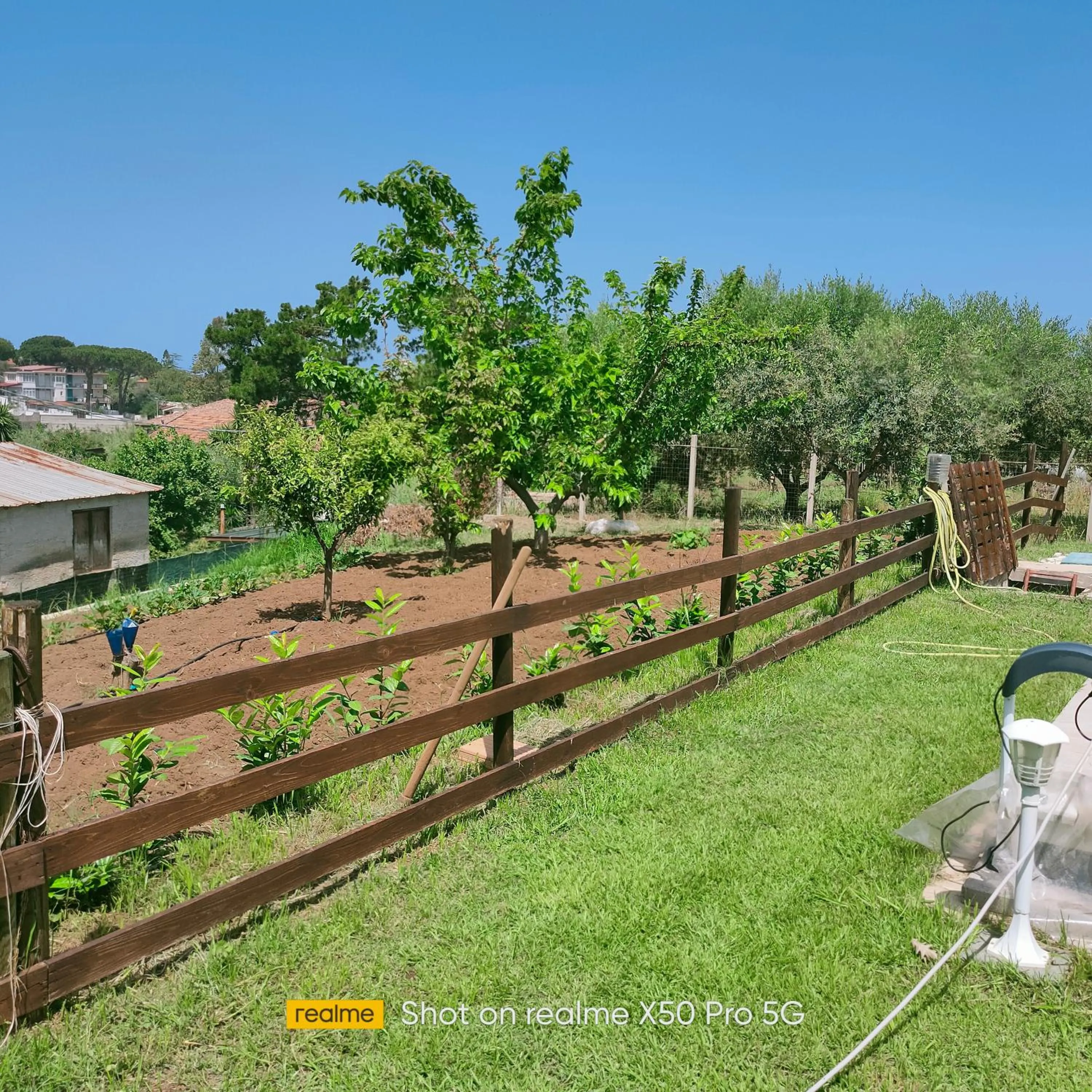 Garden view in VILLA LAURO LUXURY B&B