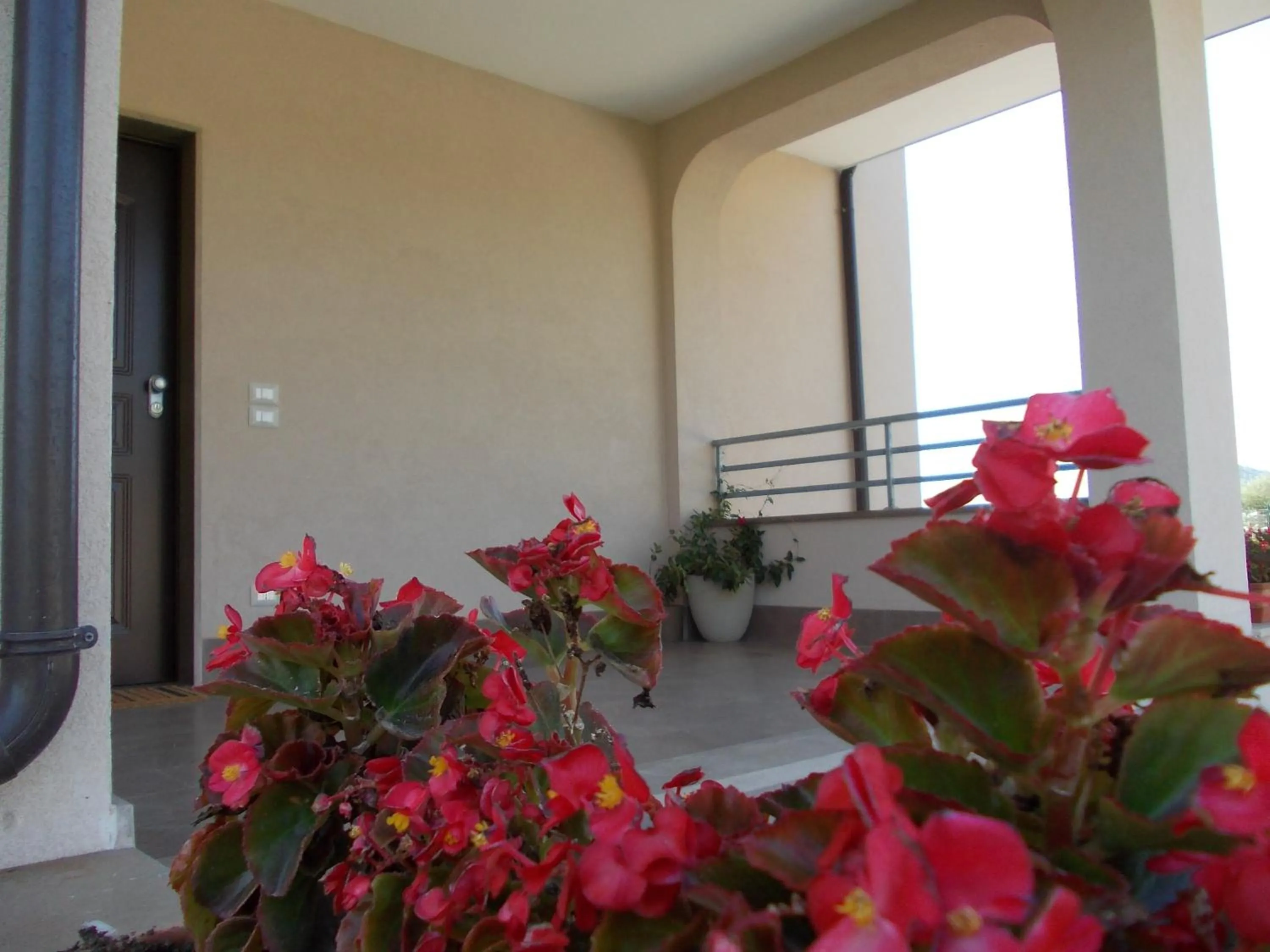 Garden in VILLA LAURO LUXURY B&B