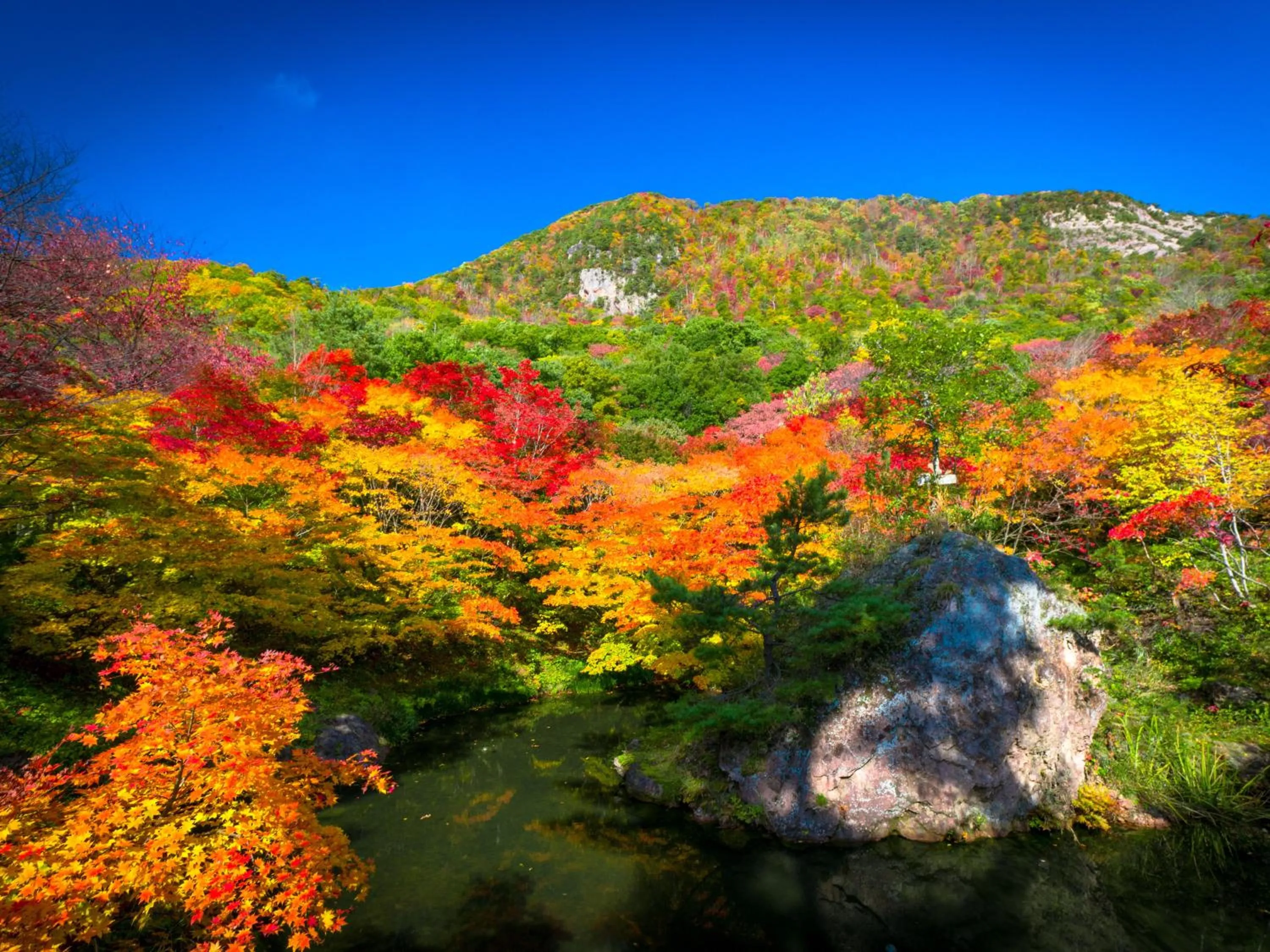 Nearby landmark in Hotel Oosado