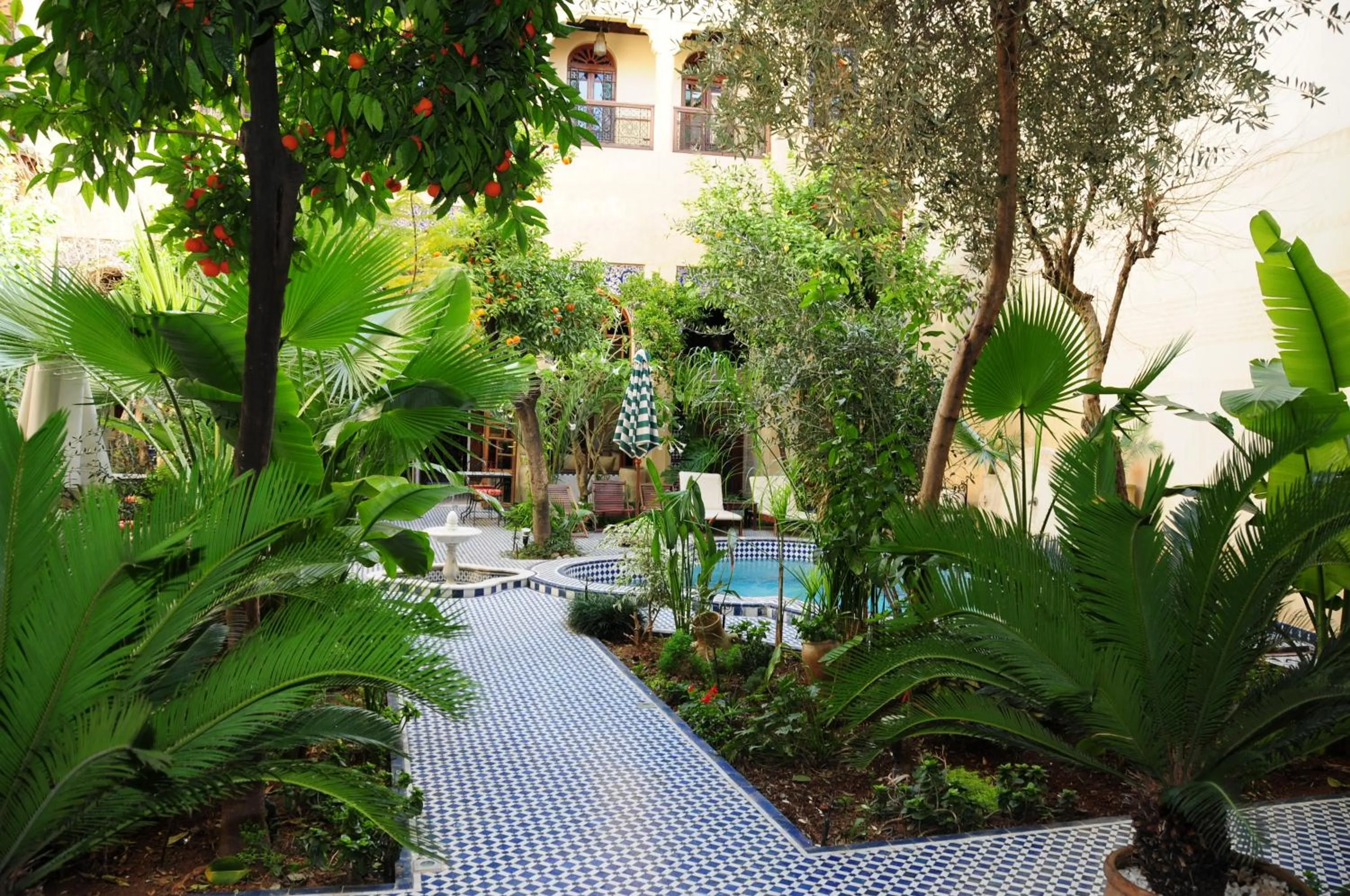 Garden in Ryad Salama