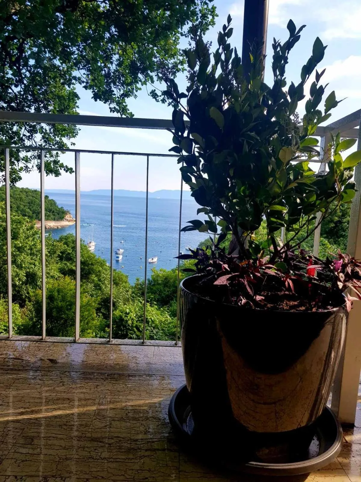 Restaurant/places to eat in Boarding House Lucija