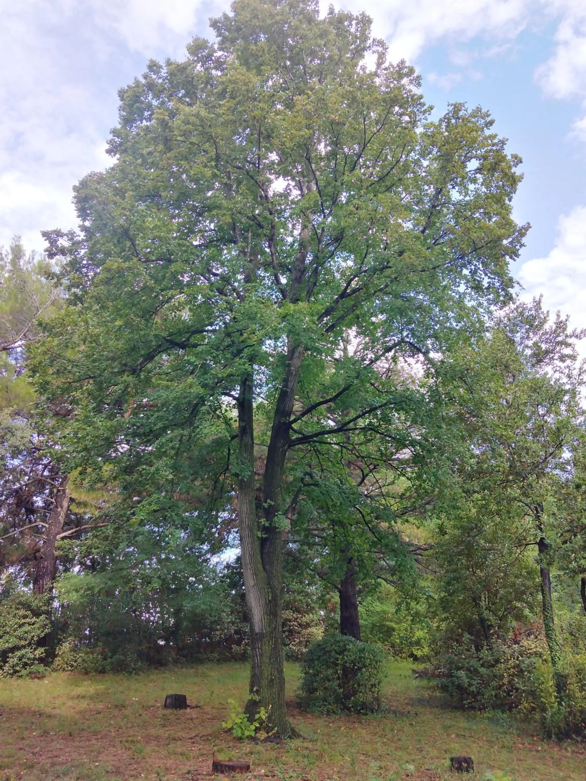 Natural landscape in Boarding House Lucija
