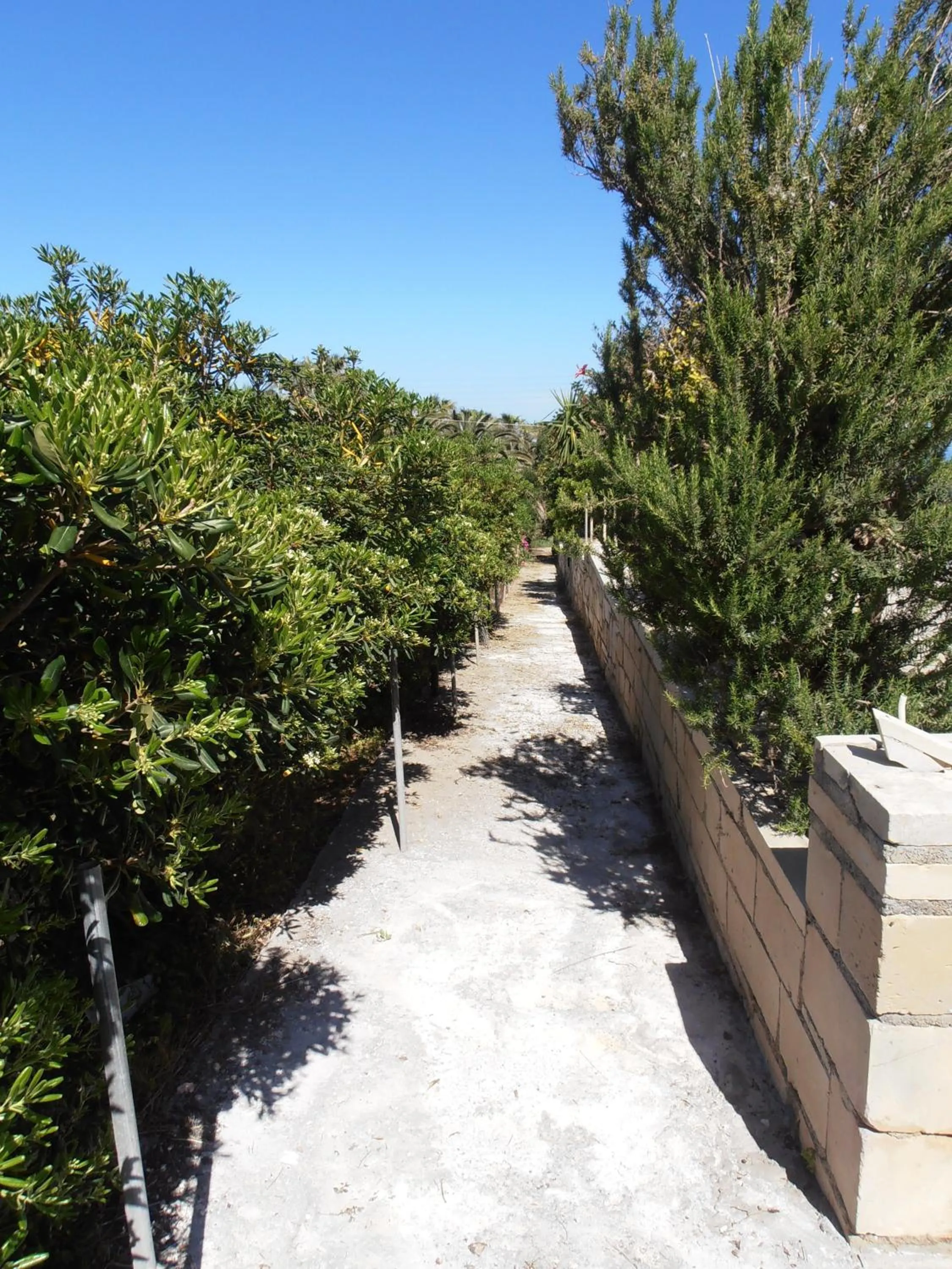 Garden in Babis Hotel