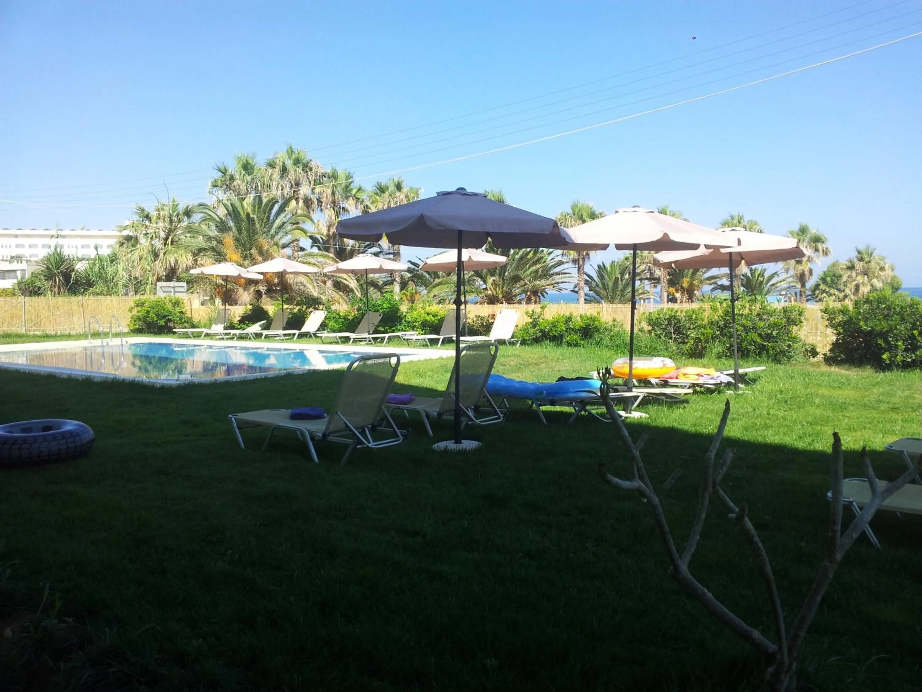 Garden in Babis Hotel