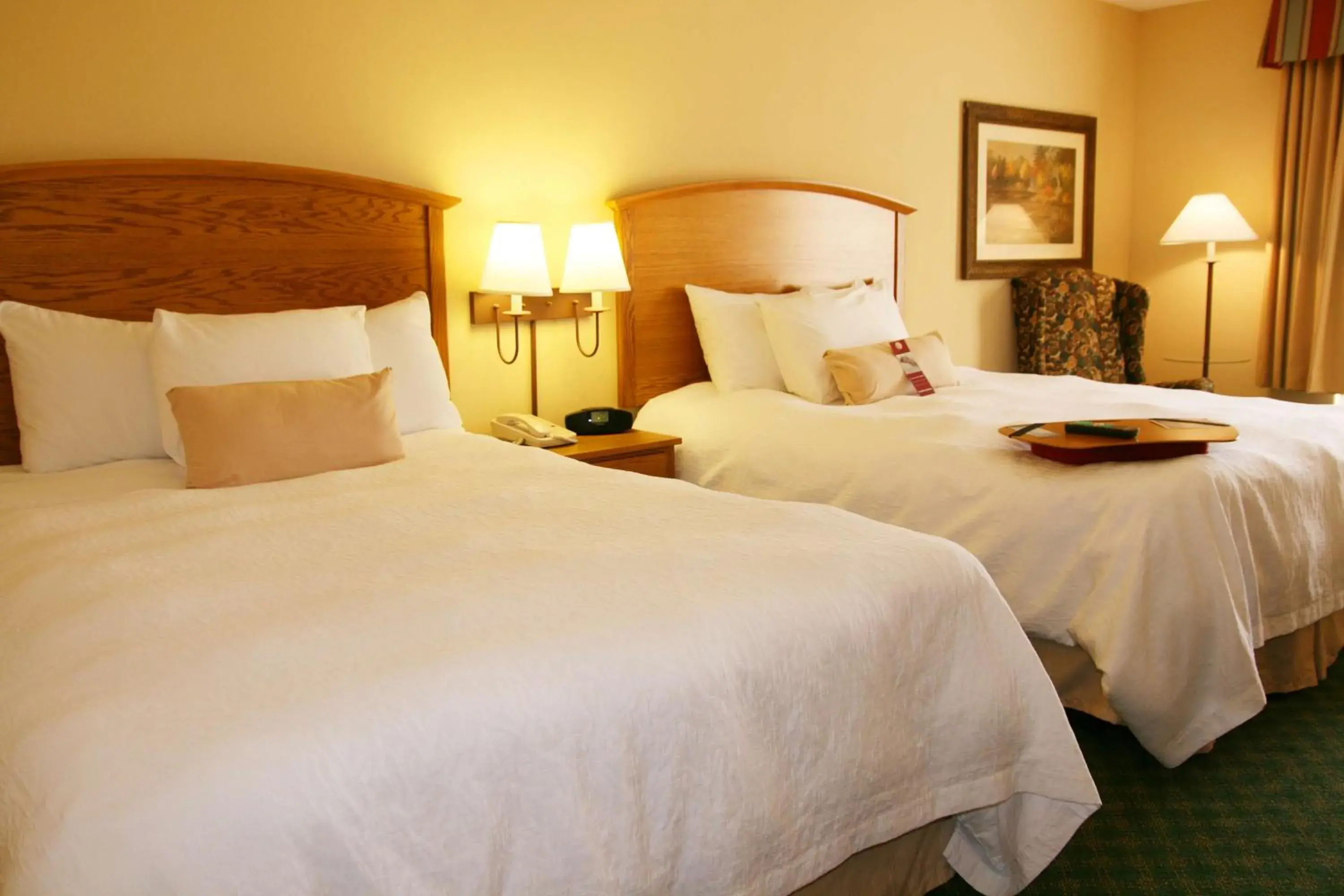 Bed in Hampton Inn Guntersville Bed in Hampton Inn Guntersville