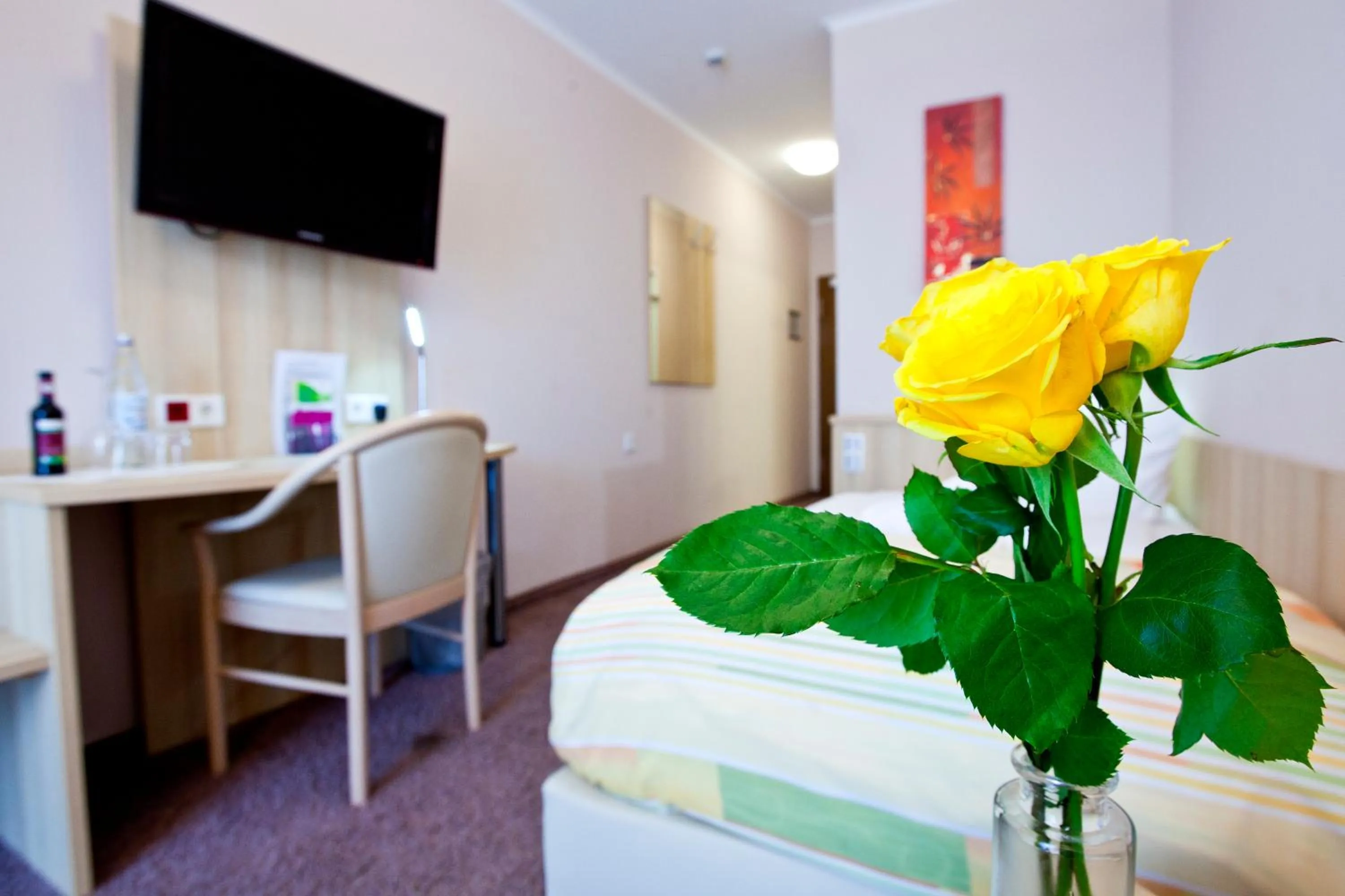 Single Room in Hotel Siebenschläfer