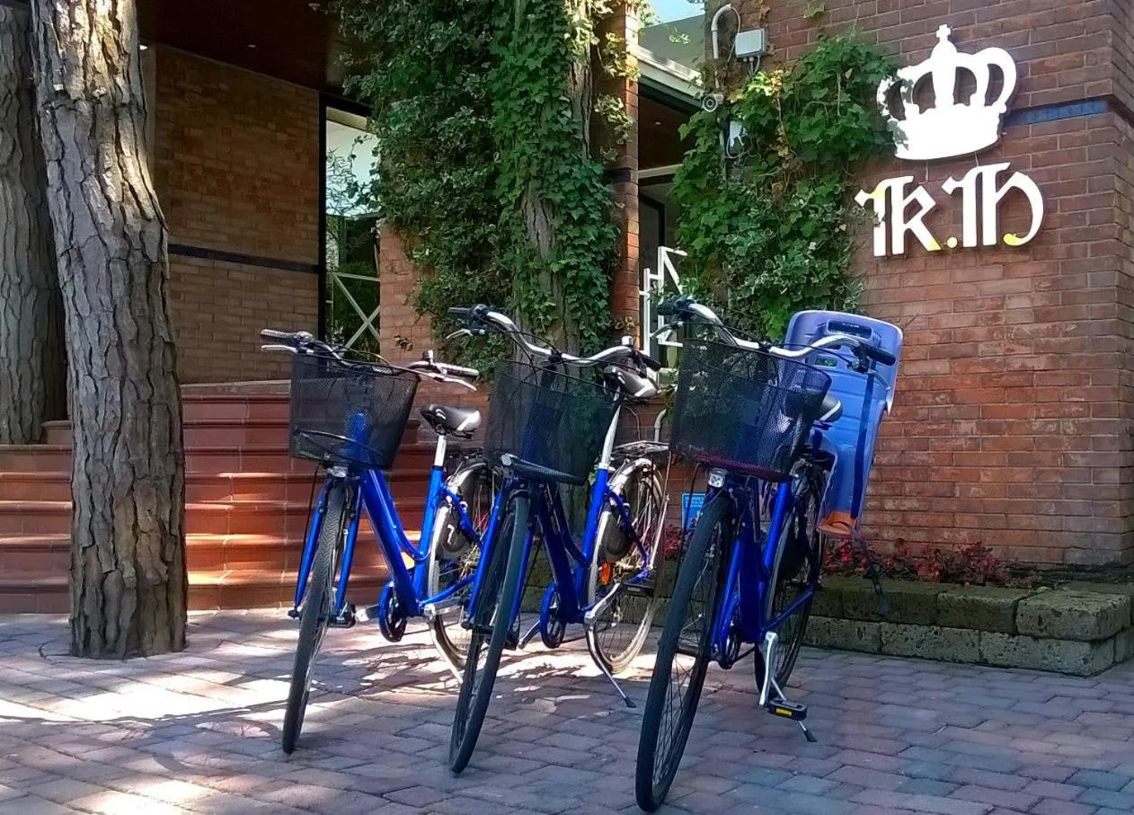 Cycling in Hotel King