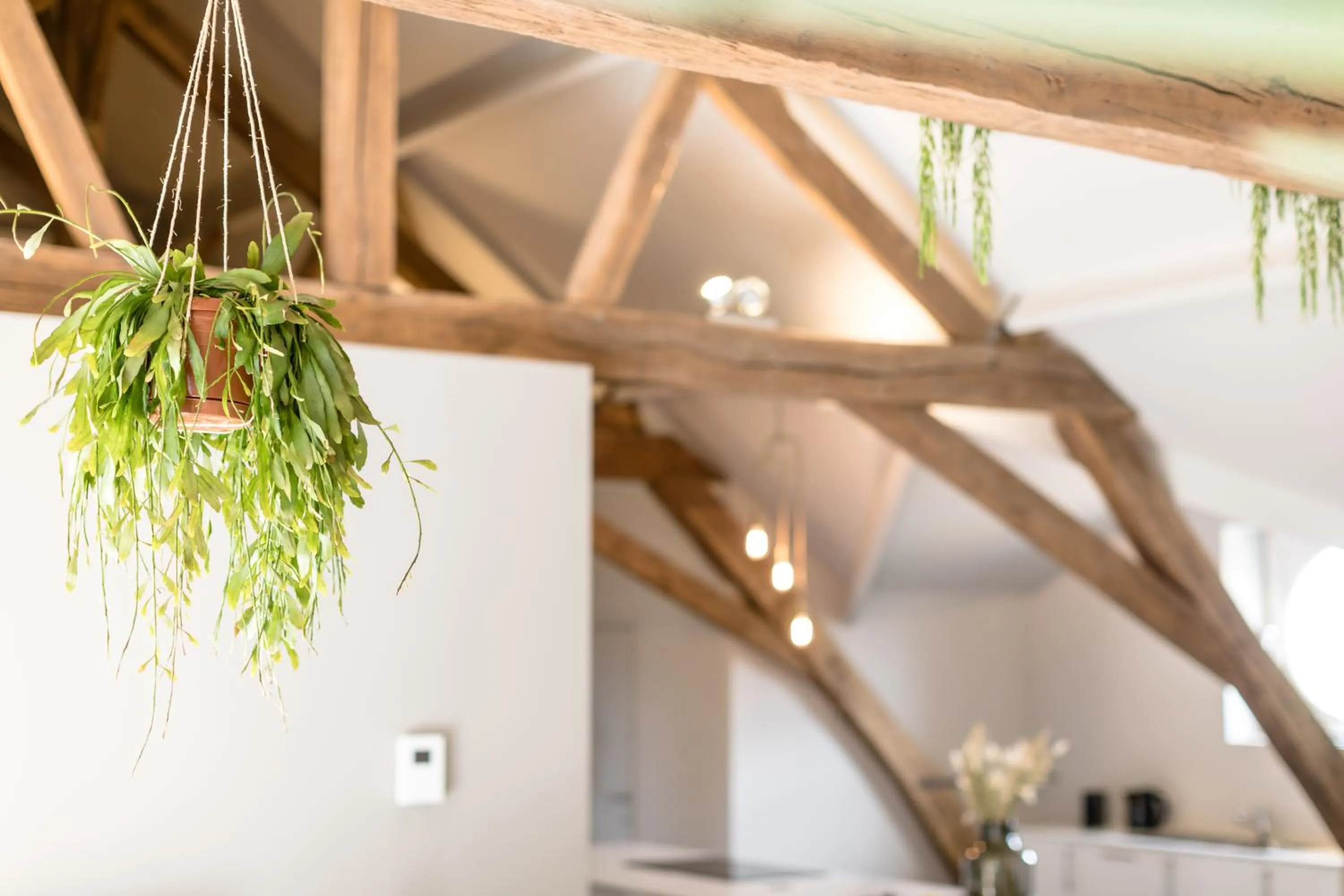Decorative detail in Logement Den Beer