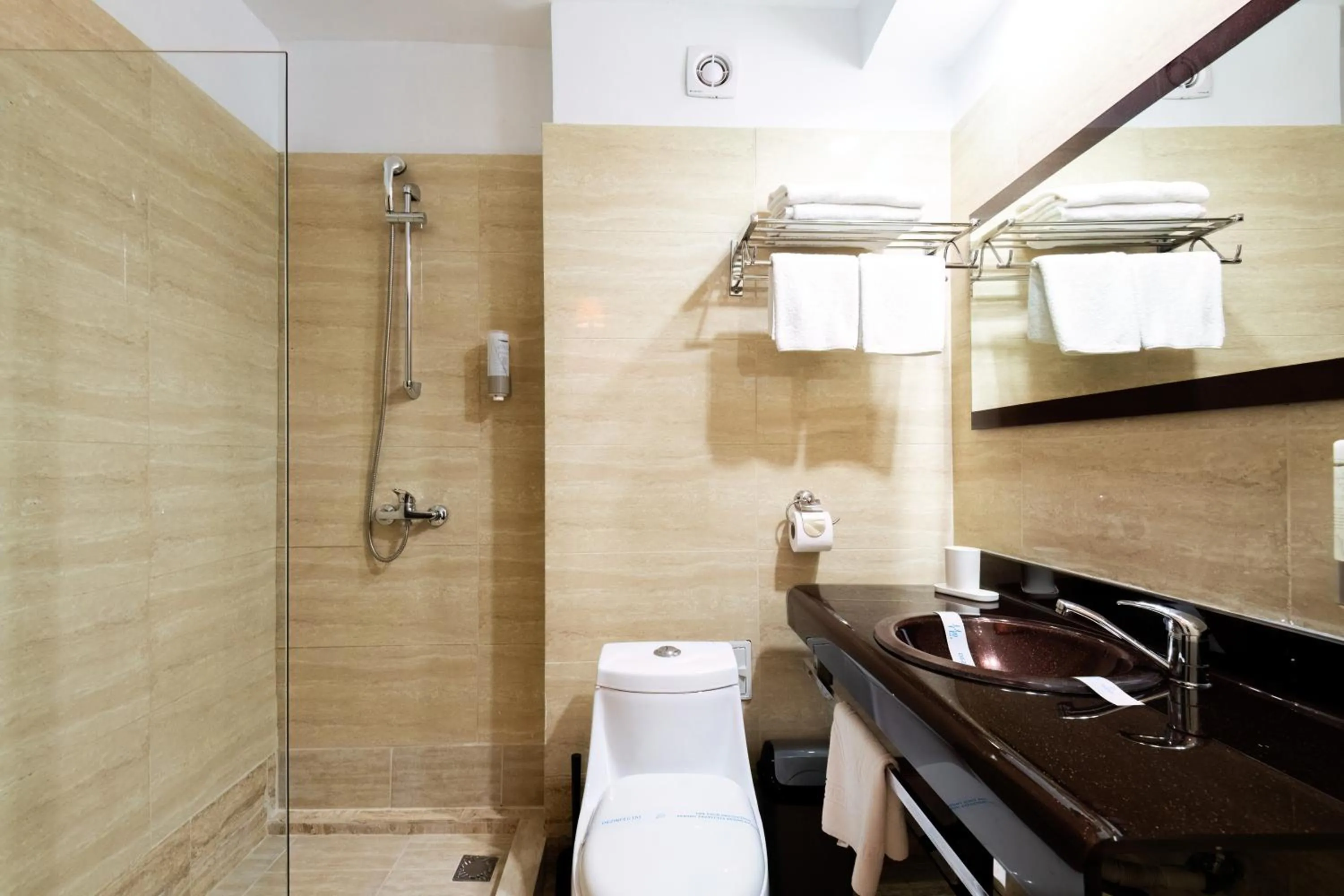 Shower in Hotel Recif