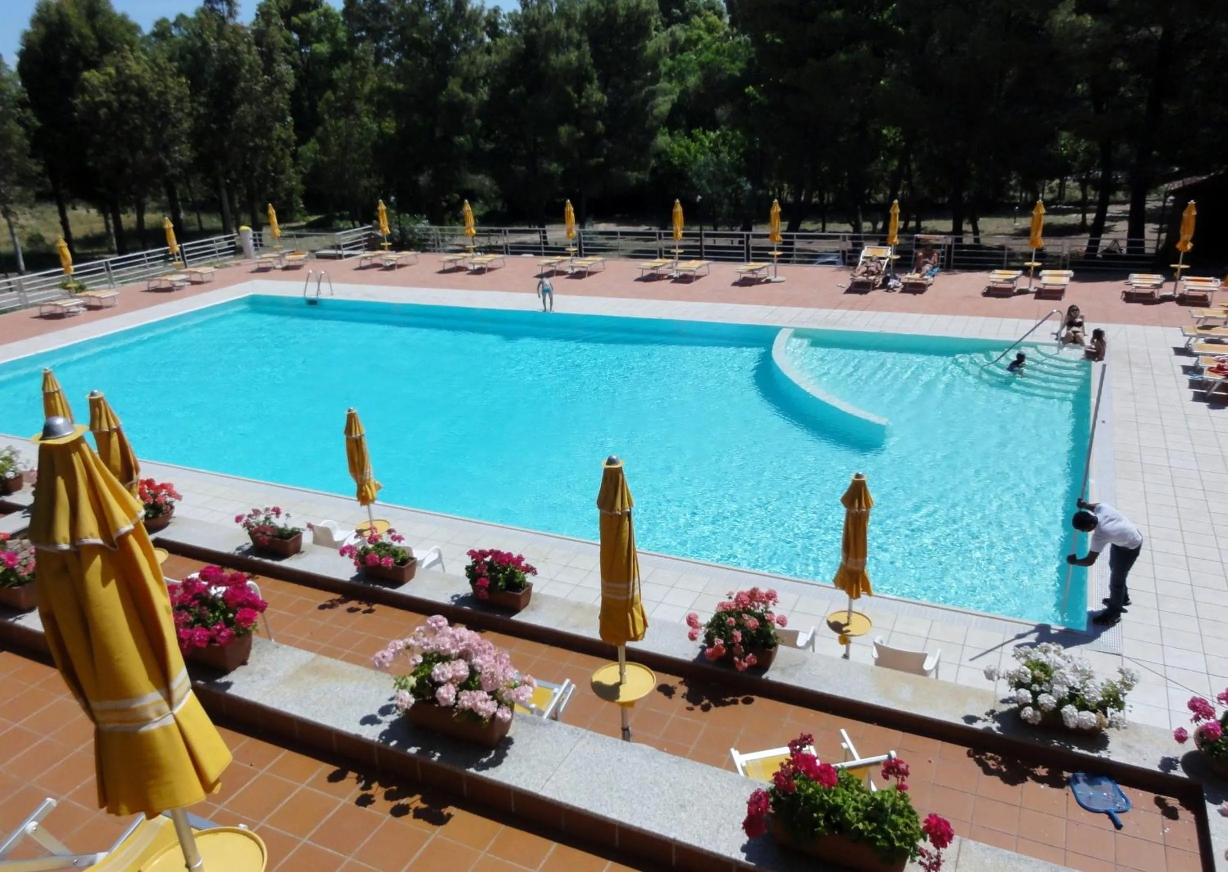 Swimming pool in Villaggio Camping Golfo di Arzachena