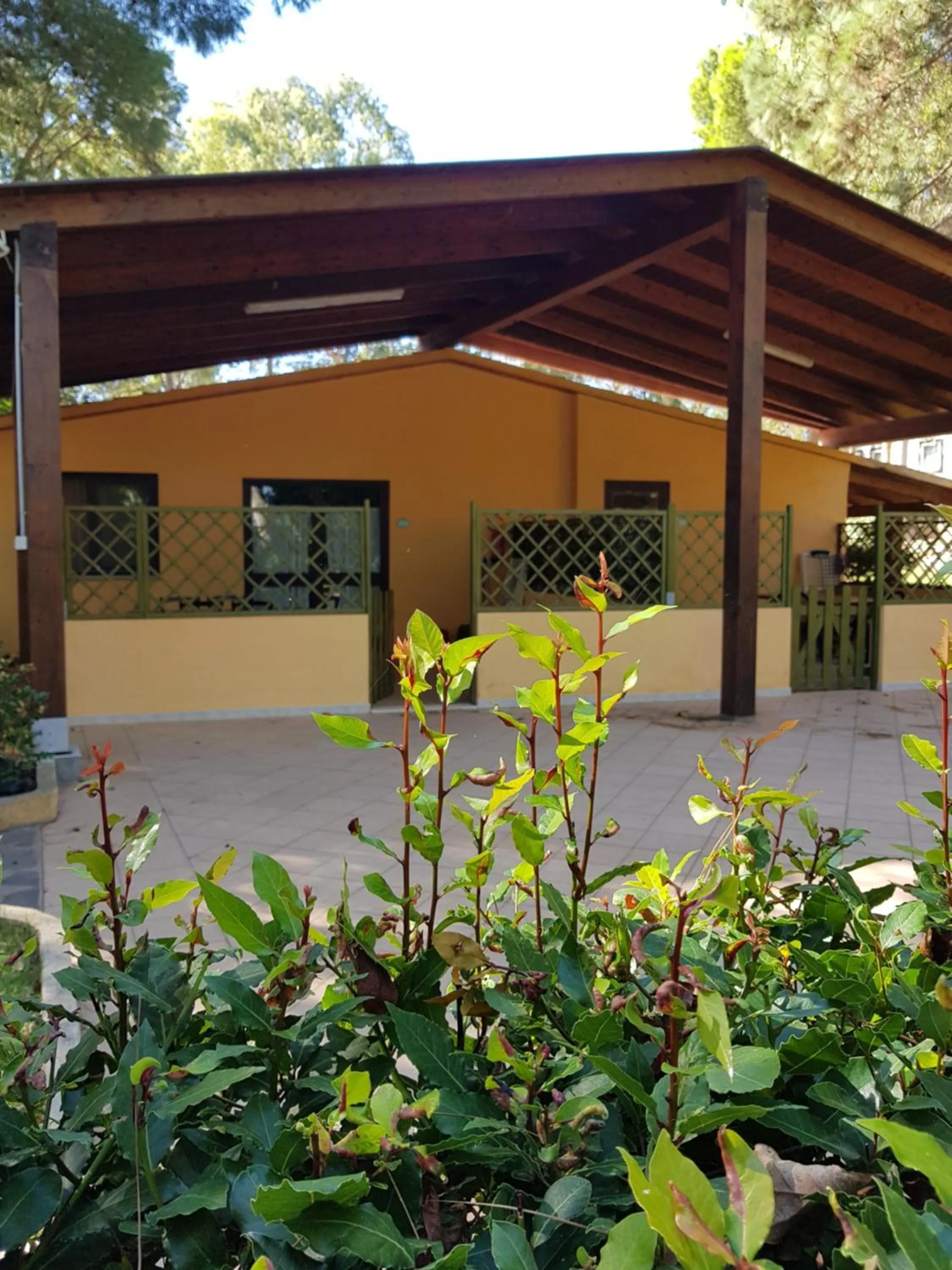 Patio in Villaggio Camping Golfo di Arzachena