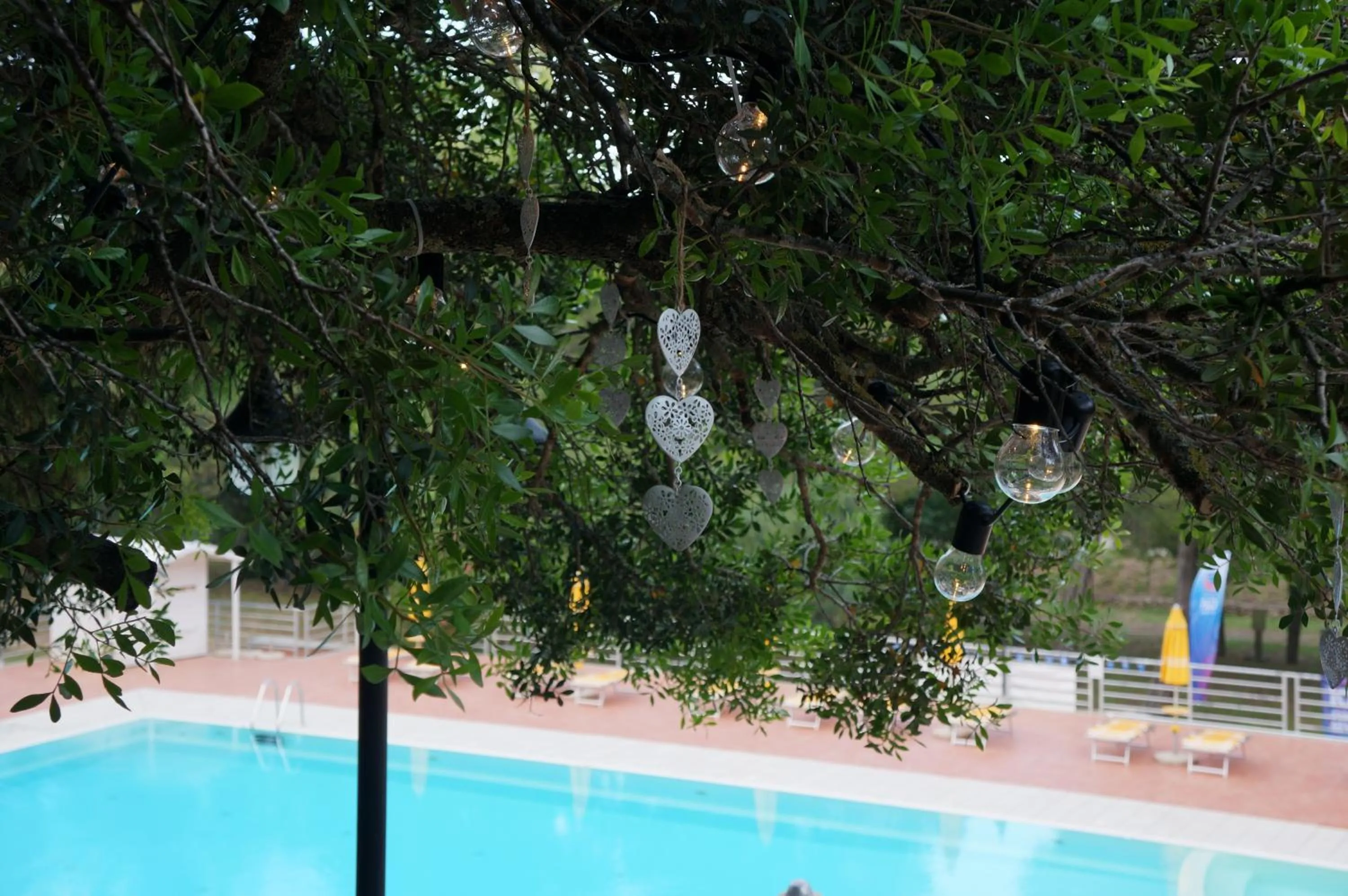 Restaurant/places to eat in Villaggio Camping Golfo di Arzachena