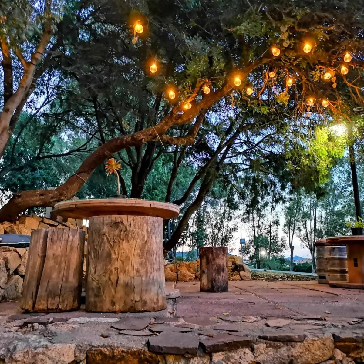 Garden in Villaggio Camping Golfo di Arzachena