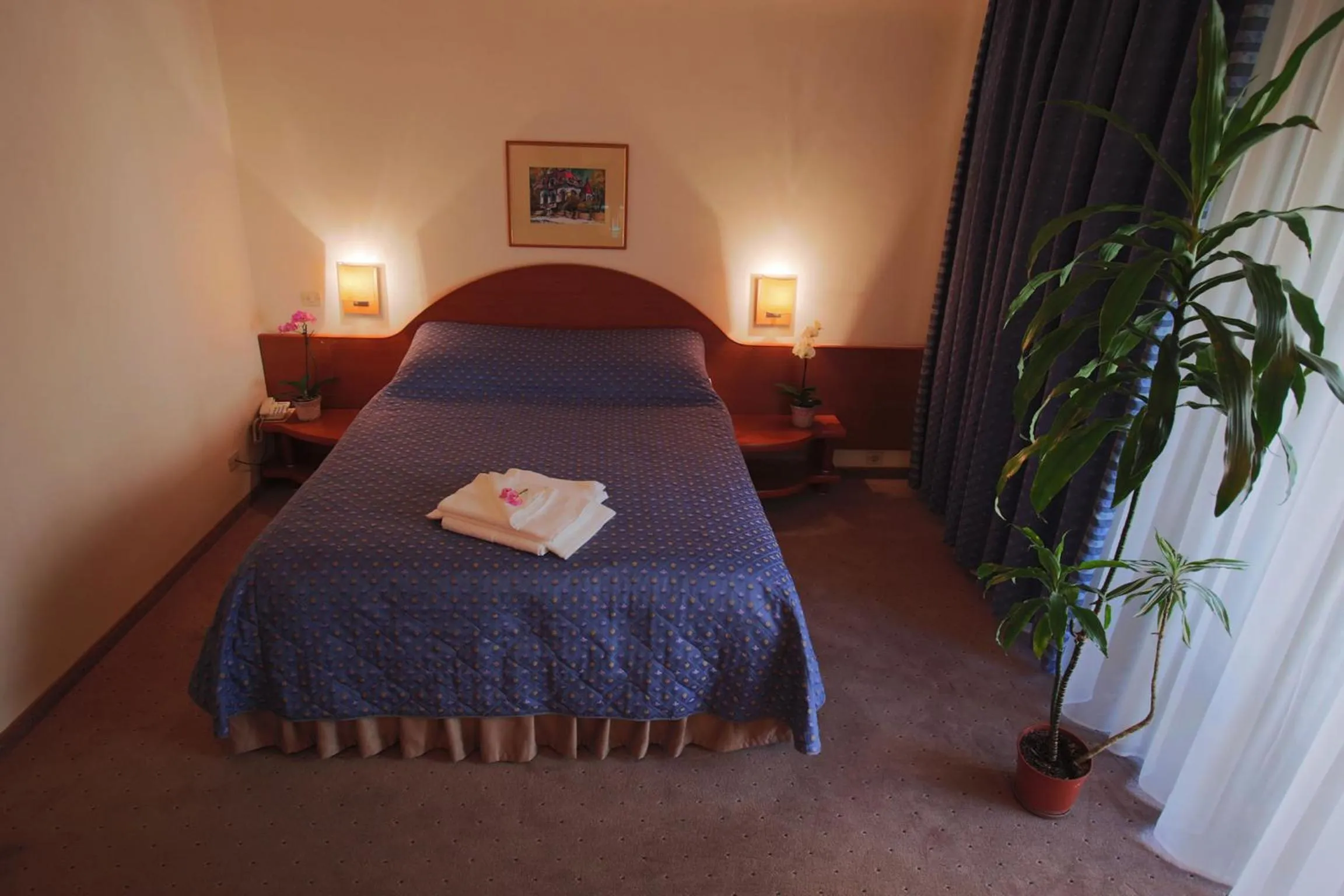 Photo of the whole room, Bed in Hotel Irisa