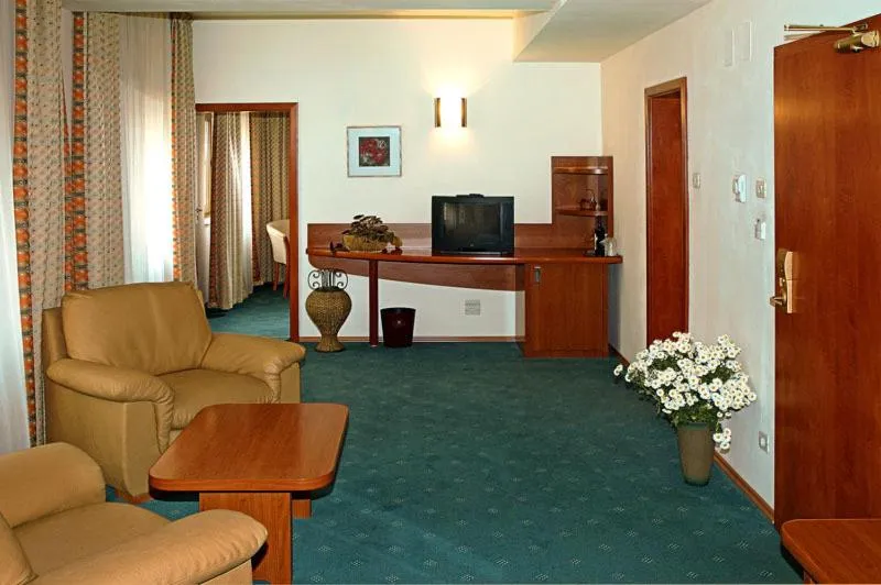 TV and multimedia in Hotel Irisa