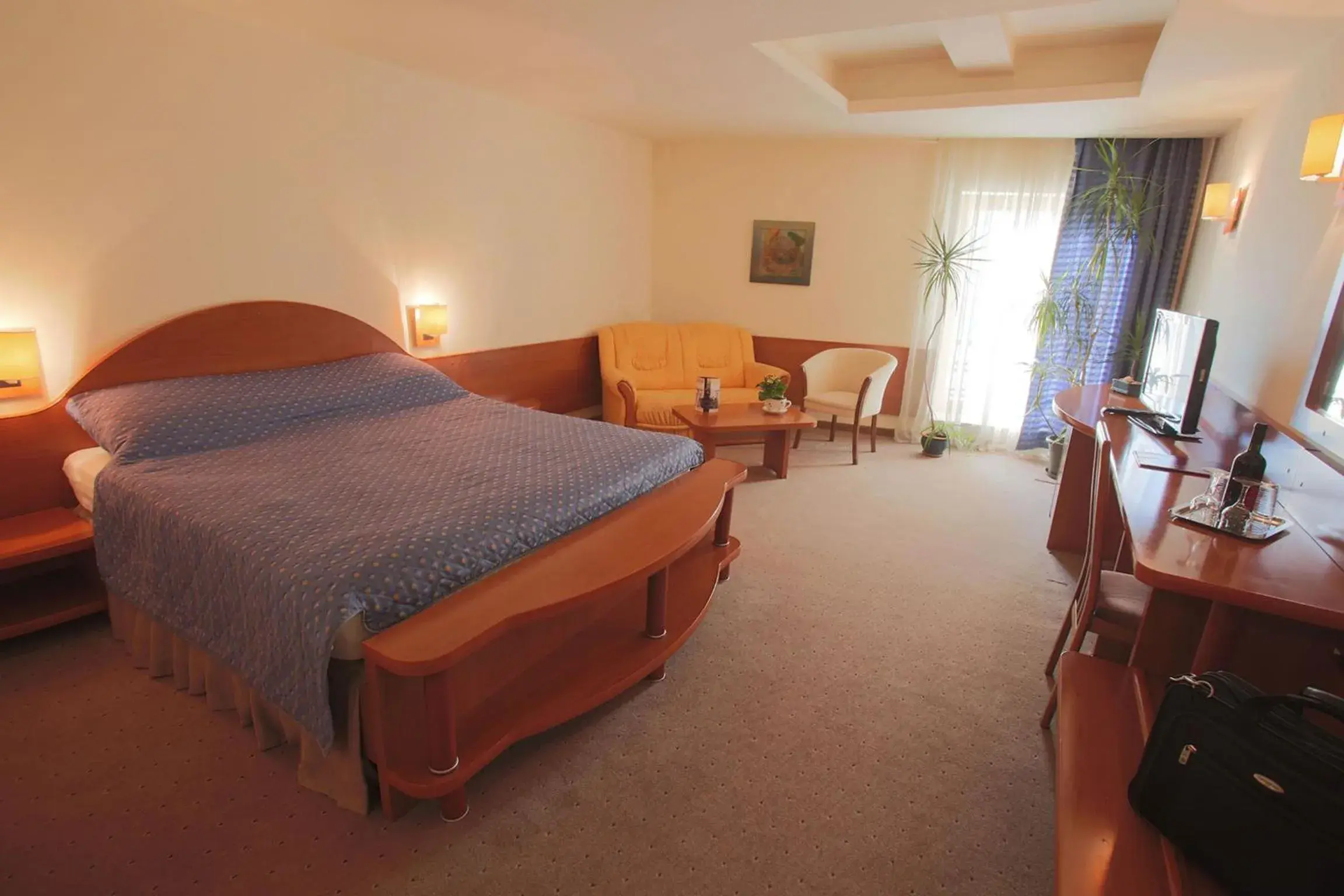 Double Room - single occupancy in Hotel Irisa Double Room - single occupancy in Hotel Irisa