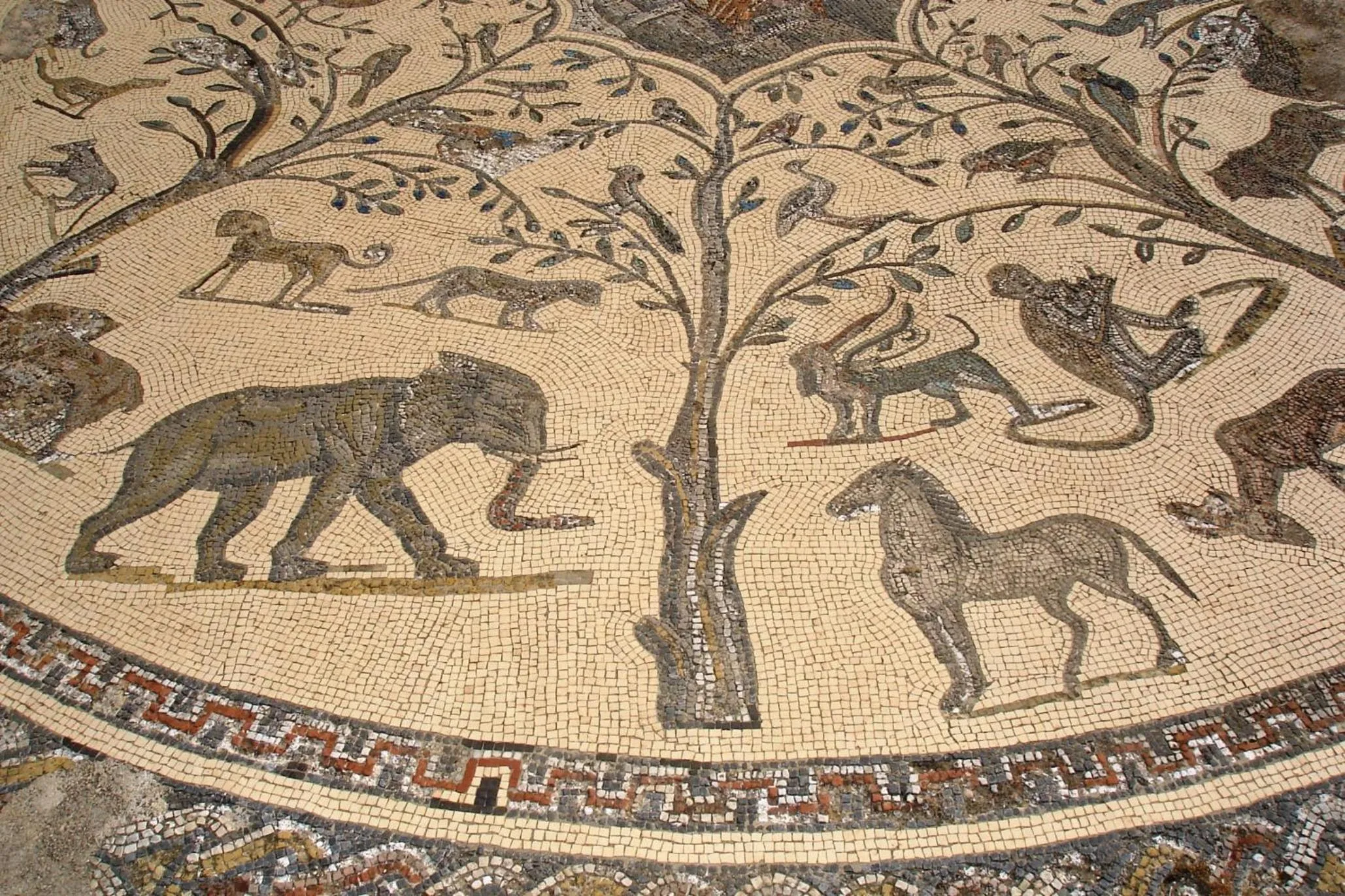 Al Andaloussiya Diyafa