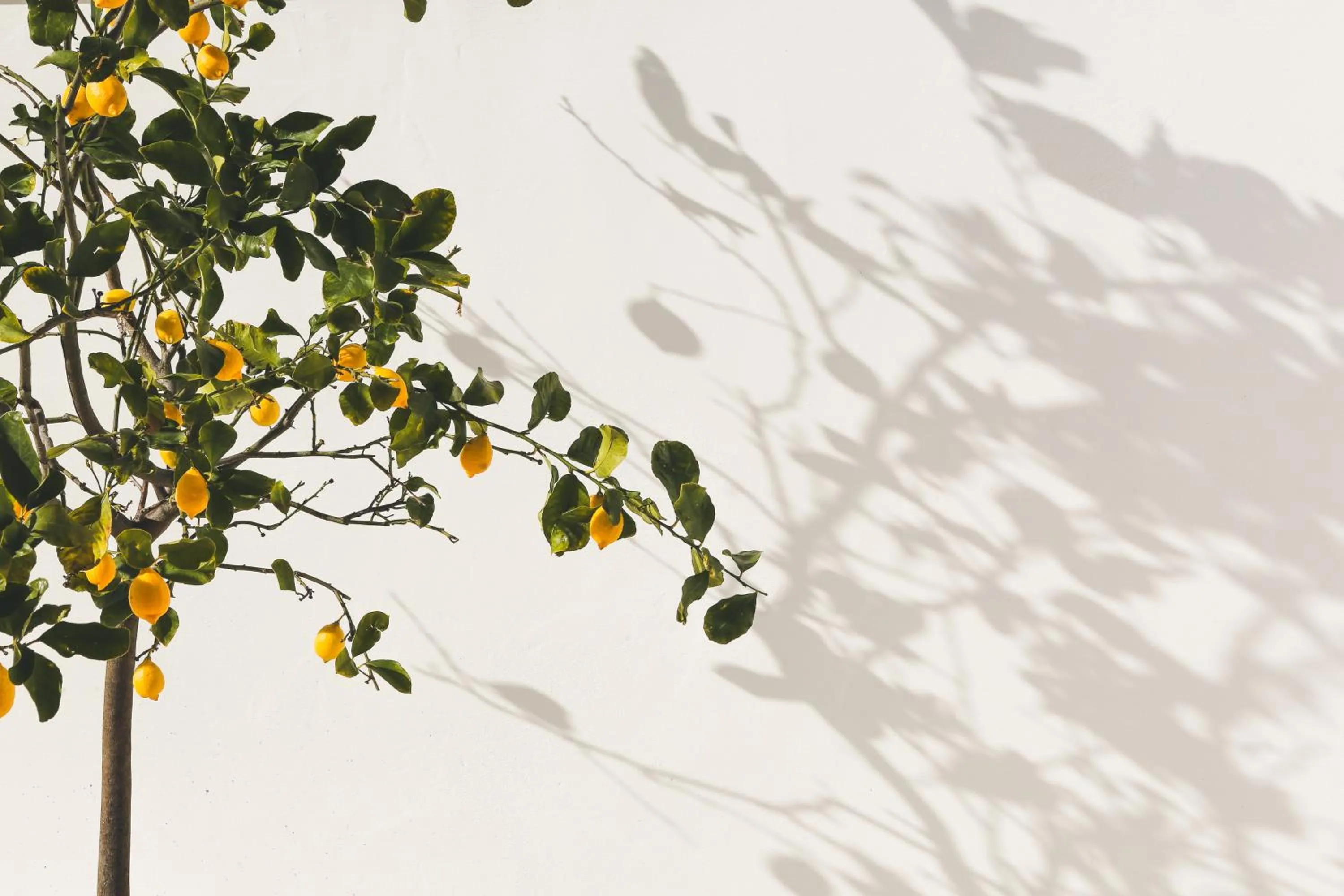 Trullo Essenza-Trulli Antì Charme & Relax