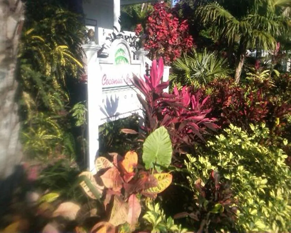 Coconut Beach Resort