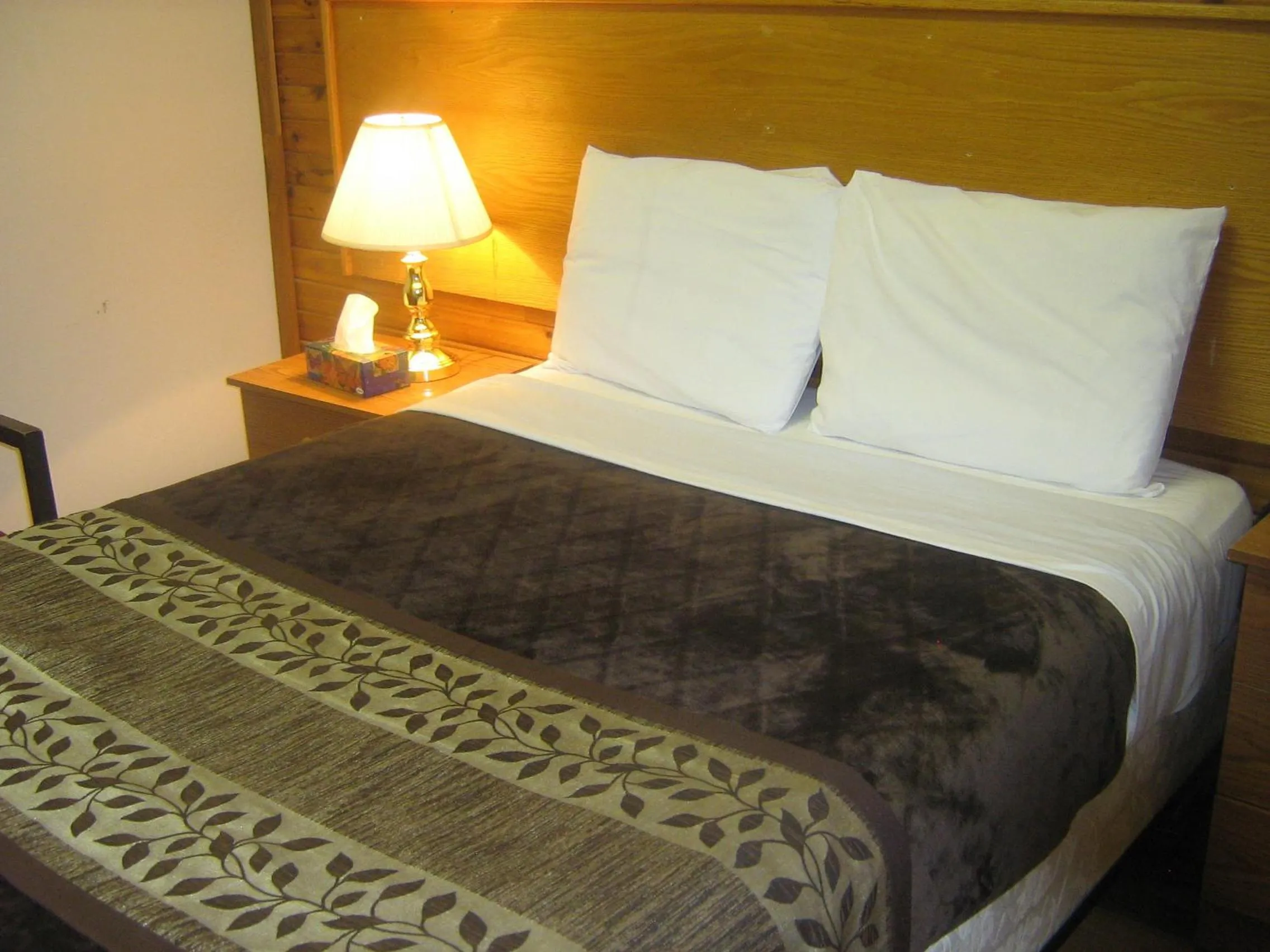 Bed in Parkway Motel & European Lodges