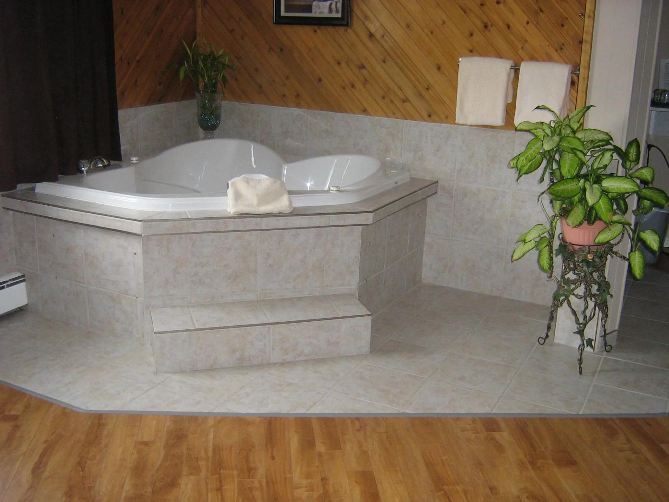 Spa and wellness centre/facilities in Parkway Motel & European Lodges